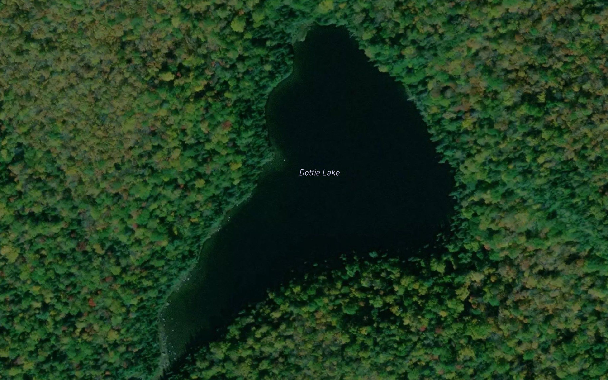 Dottie Lake