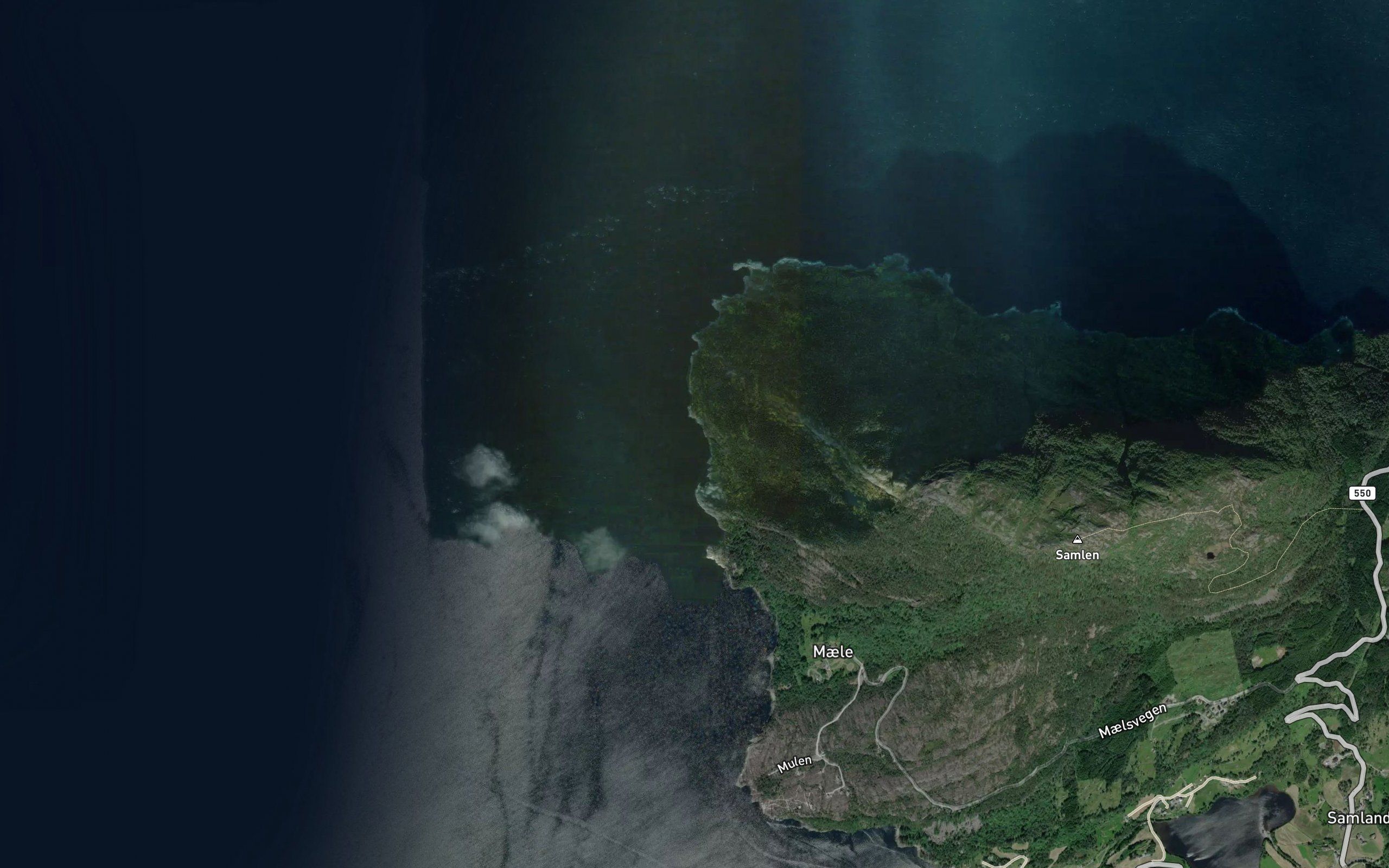 Langevikfjora