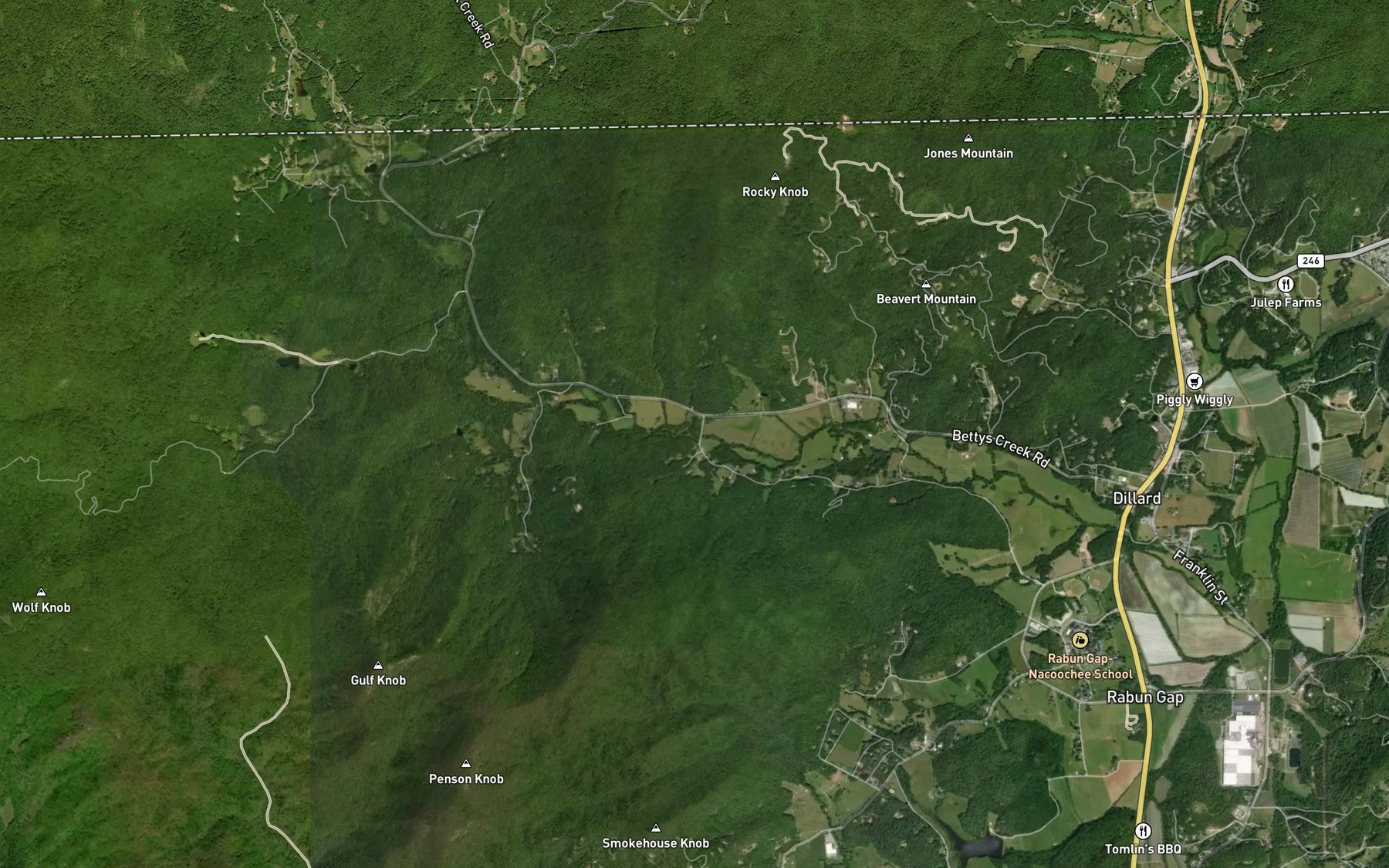 Satellite map of the Hightower Branch