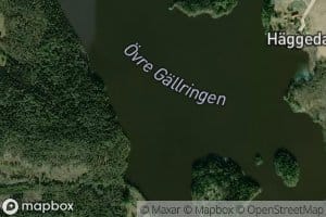 Ovre Gallringen