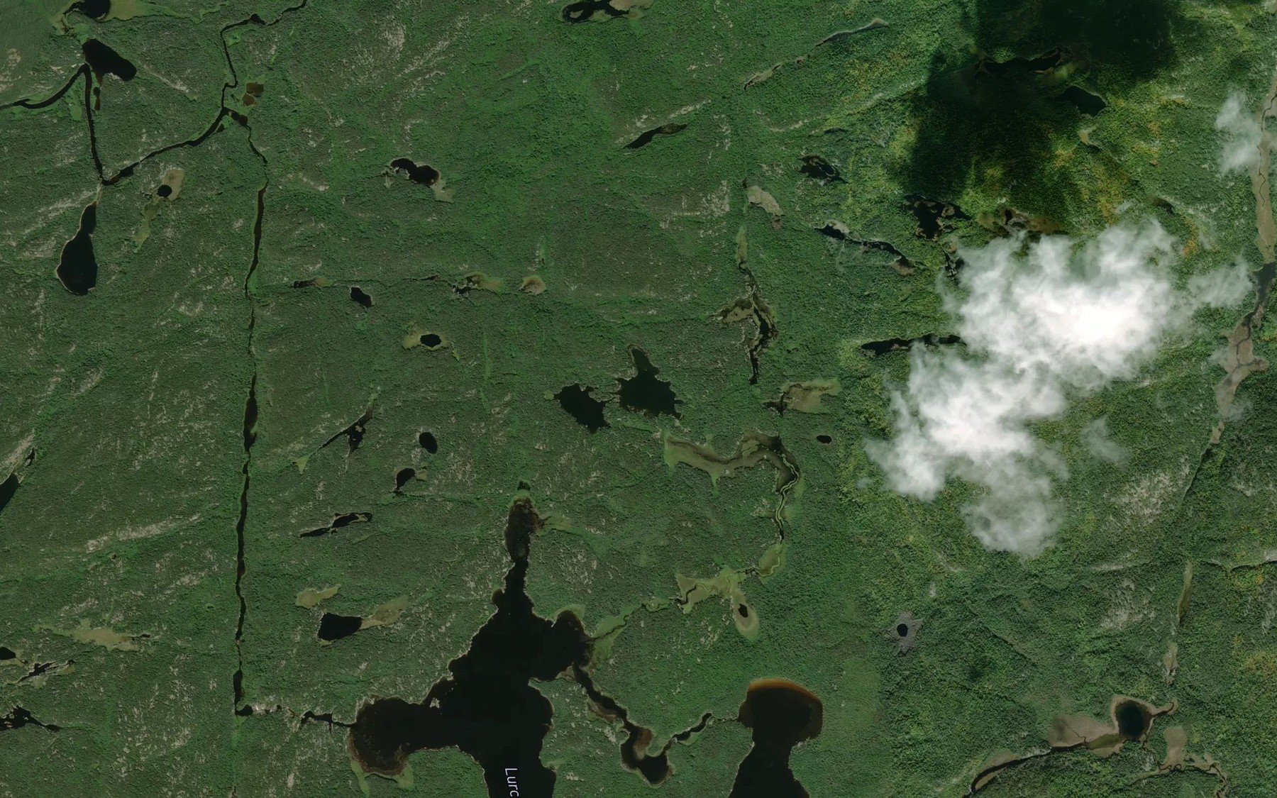 Satellite map of the Cabin Lake