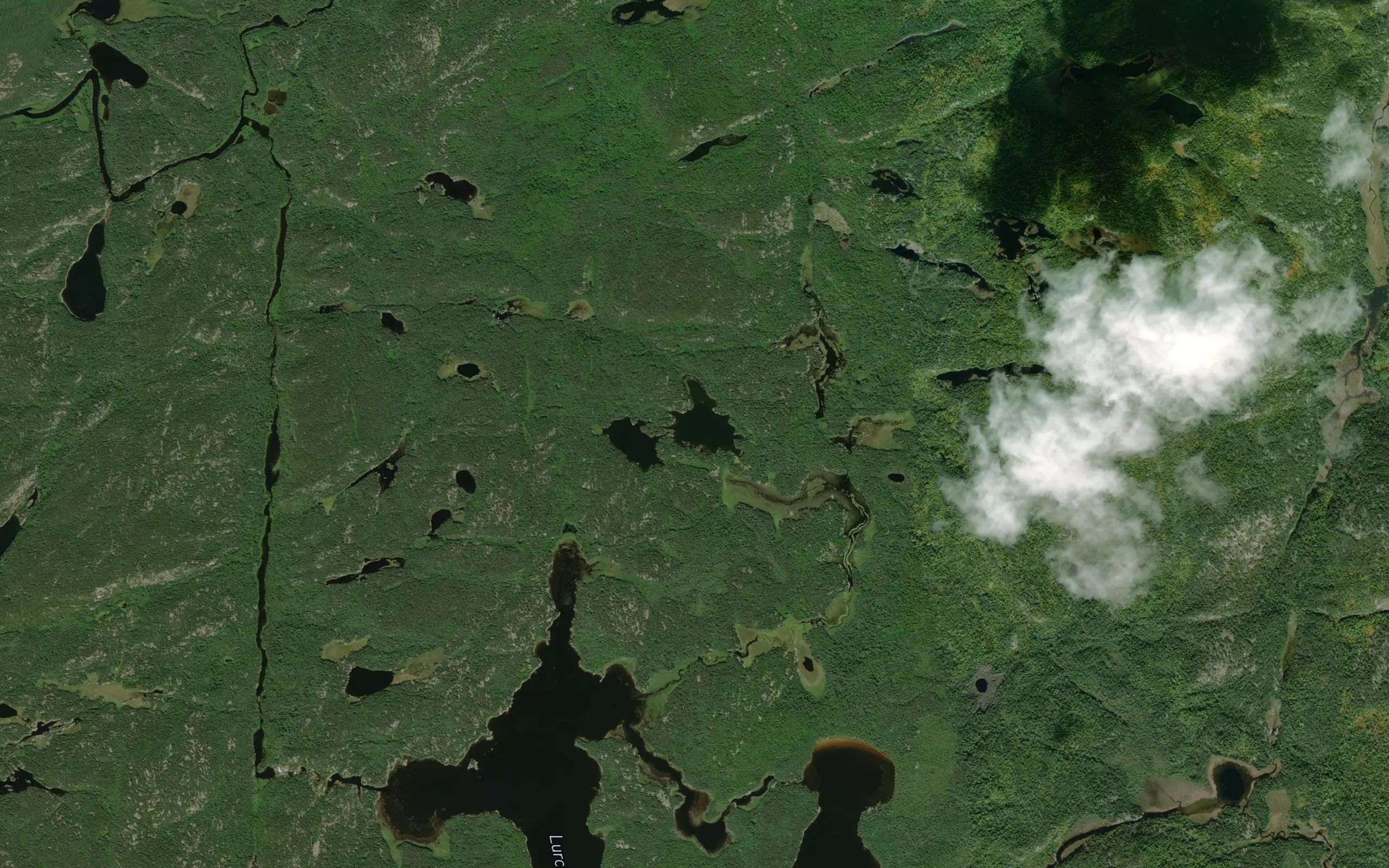 Cabin Lake