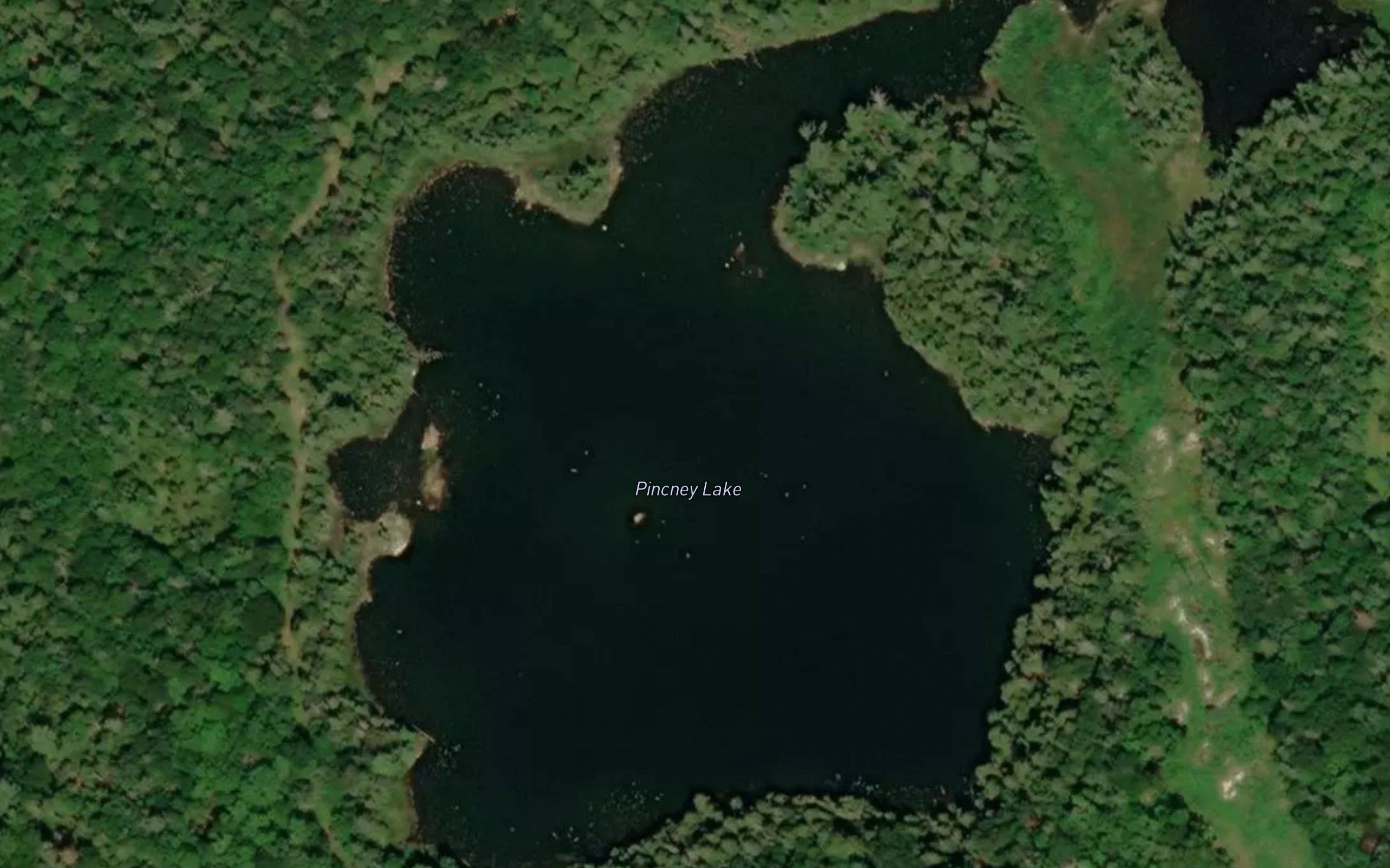 Pincney Lake
