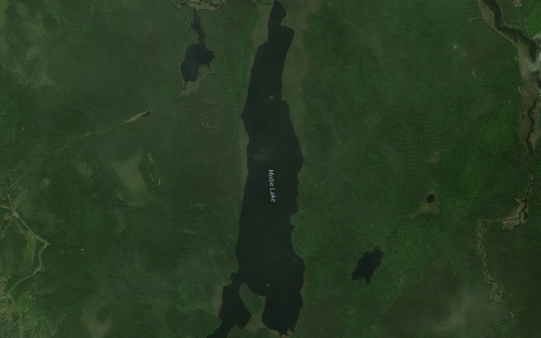 Satellite map of the Mollie Lake