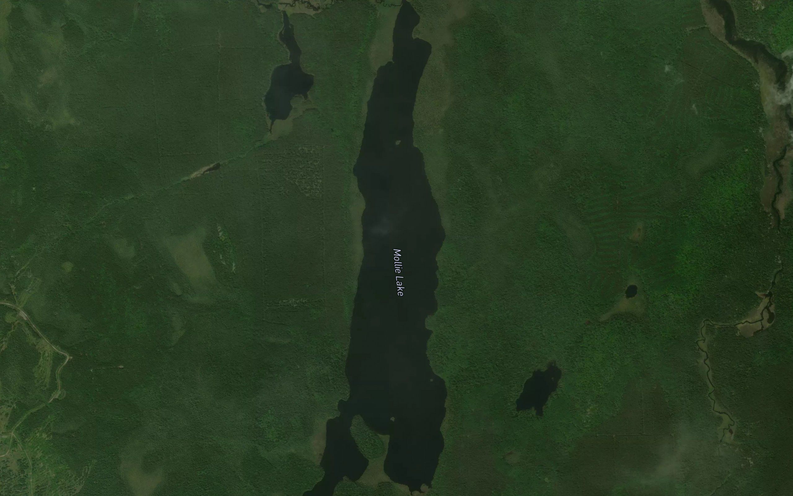 Mollie Lake