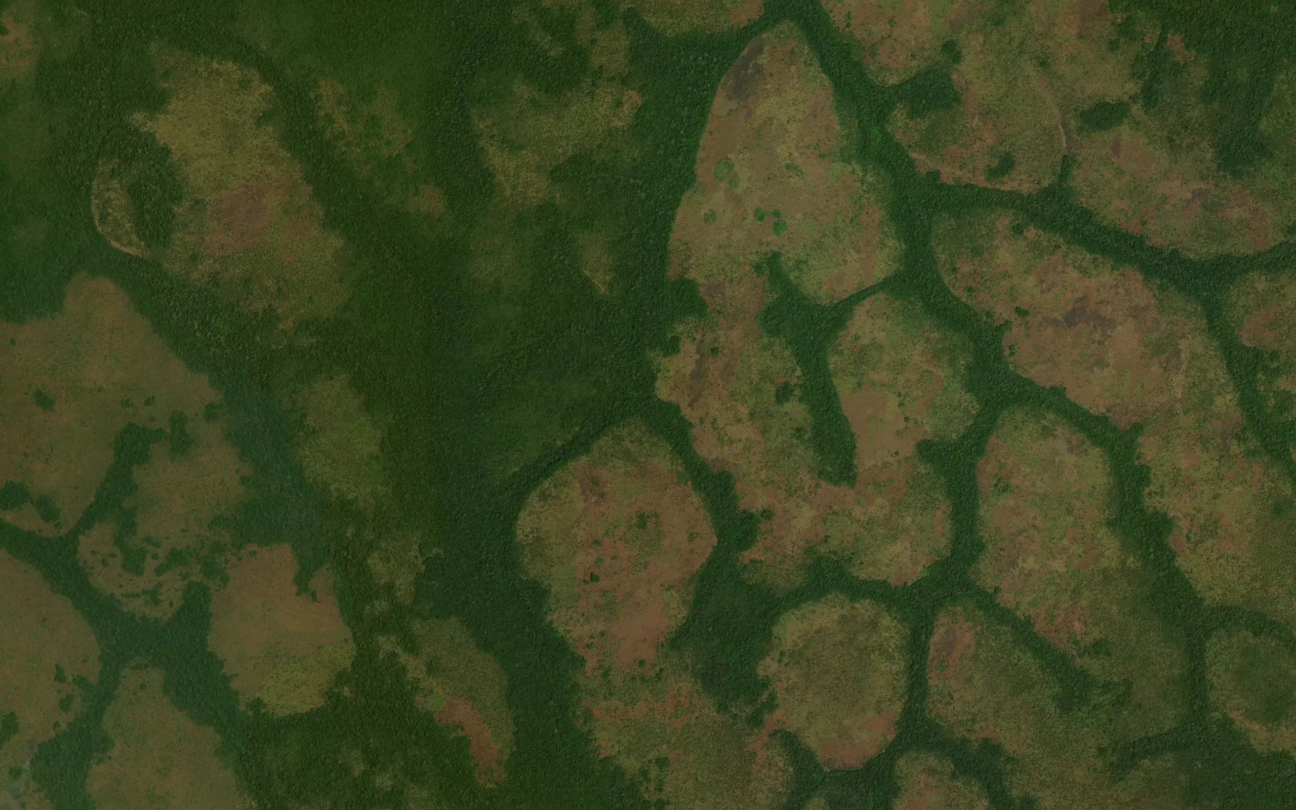 Nakpele