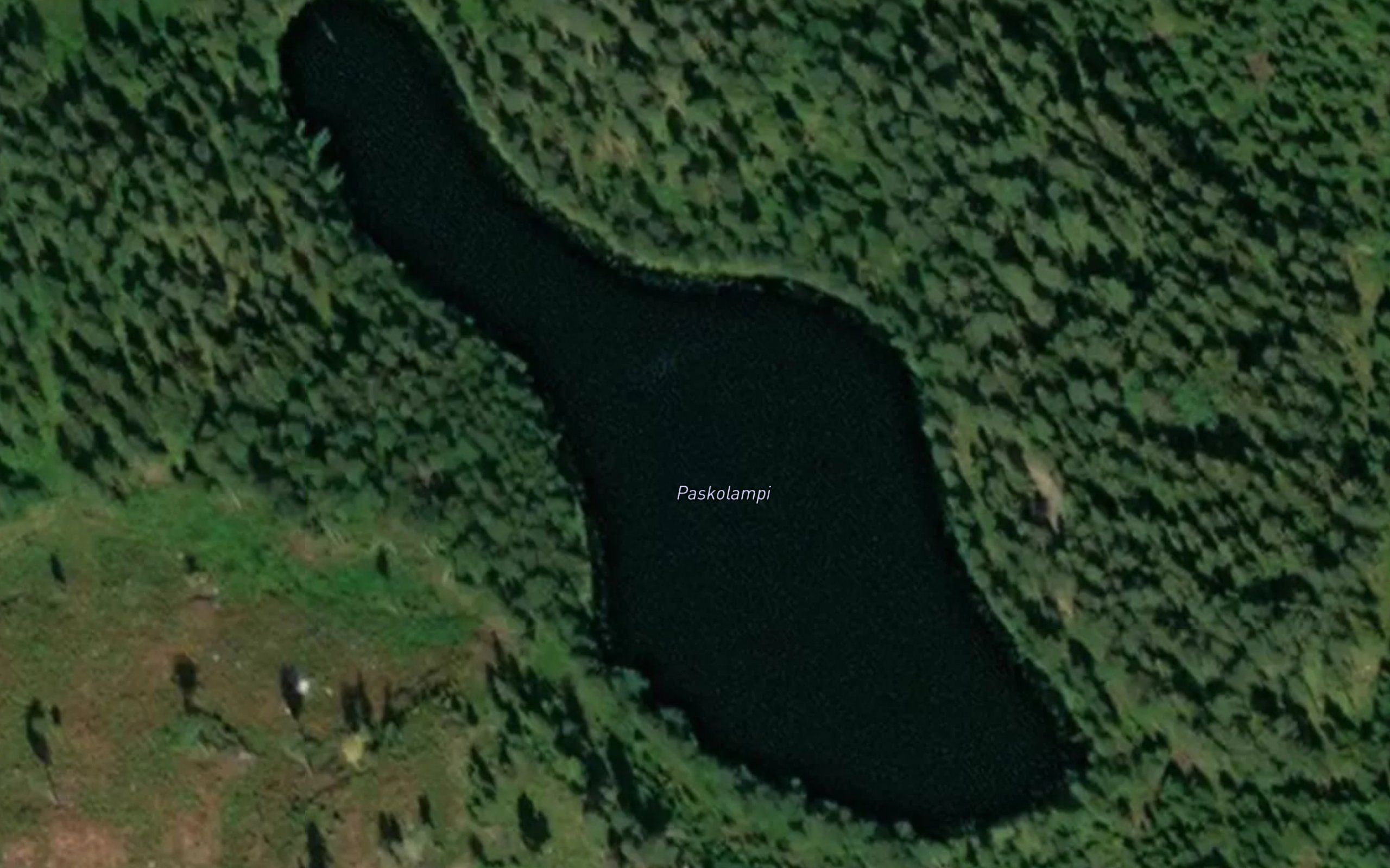 Paskolampi