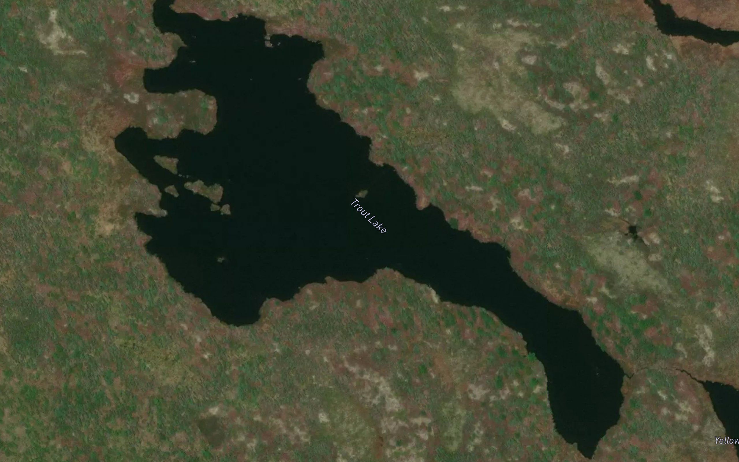 Trout Lake