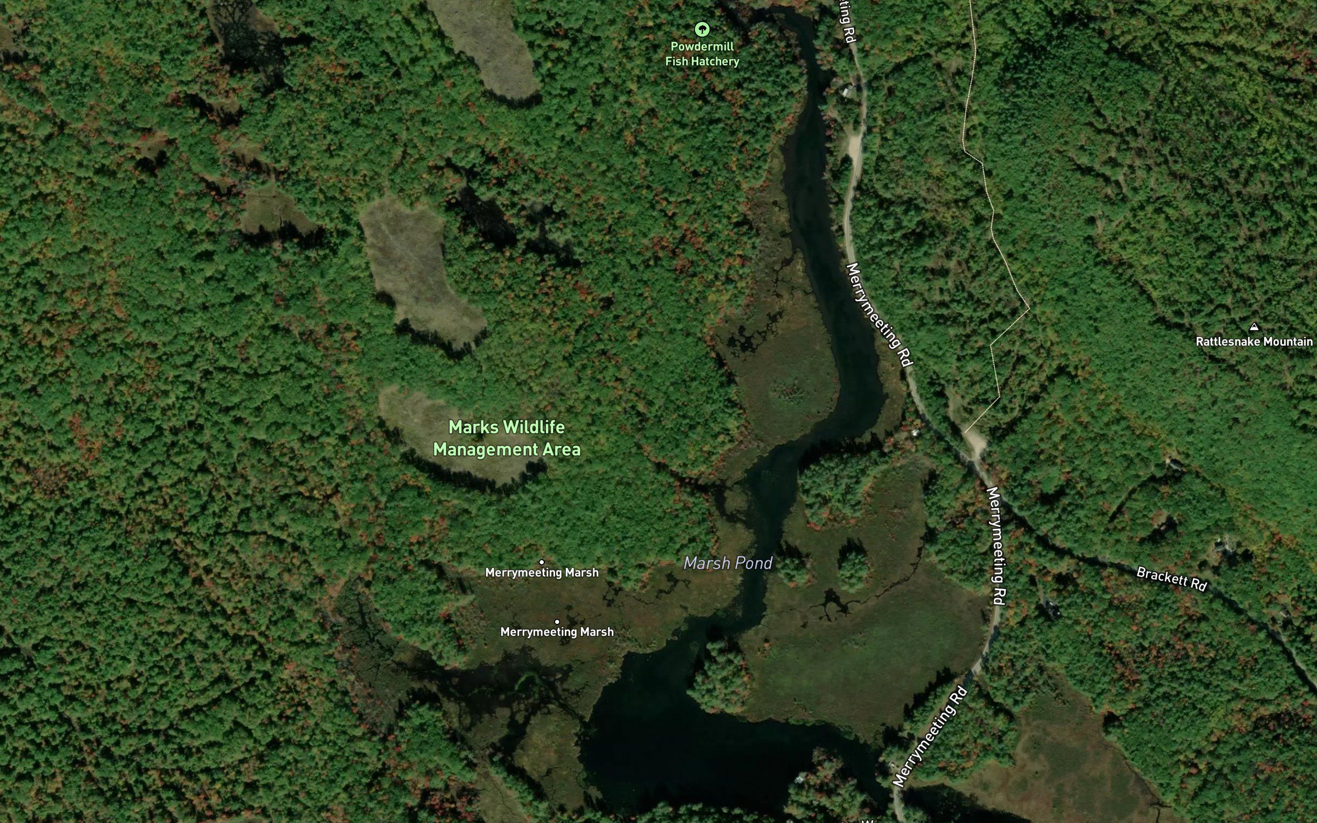Marsh Pond
