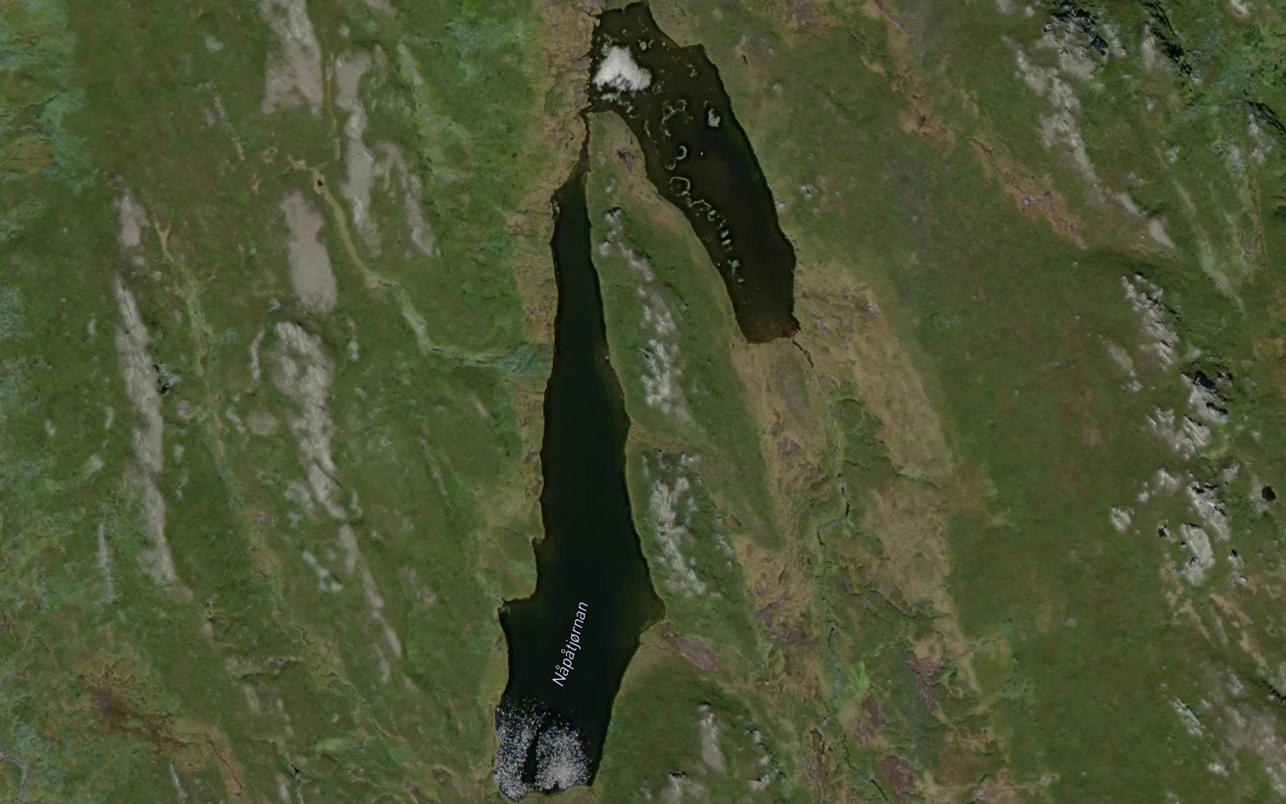Napatjornan