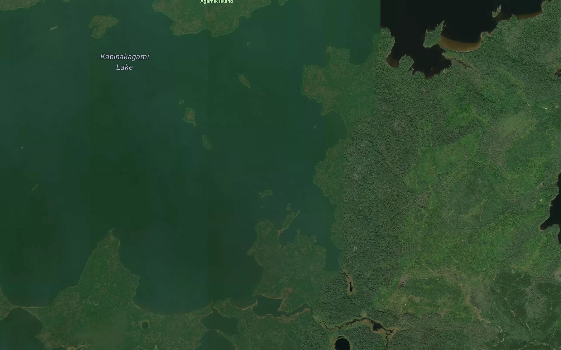 Satellite map of the Little Whitefish Bay