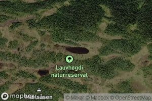 Finntjorn