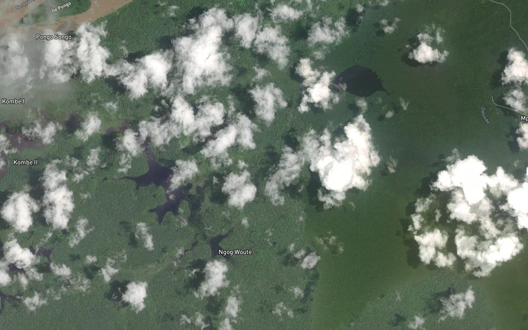 Satellite map of the Ngom