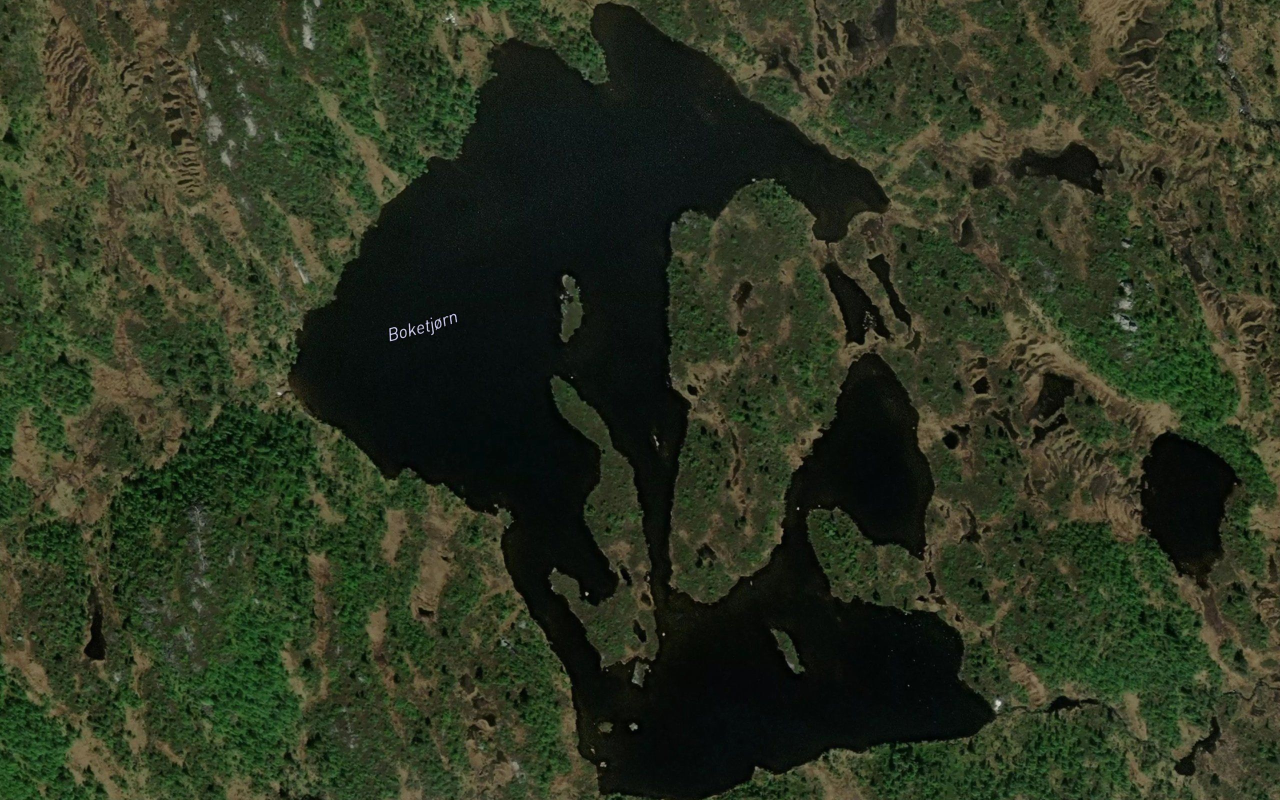 Boketjorn
