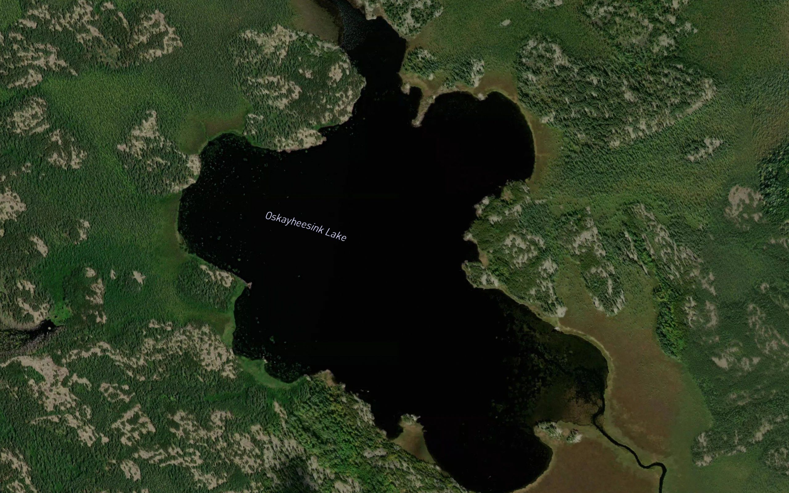 Oskayheesink Lake