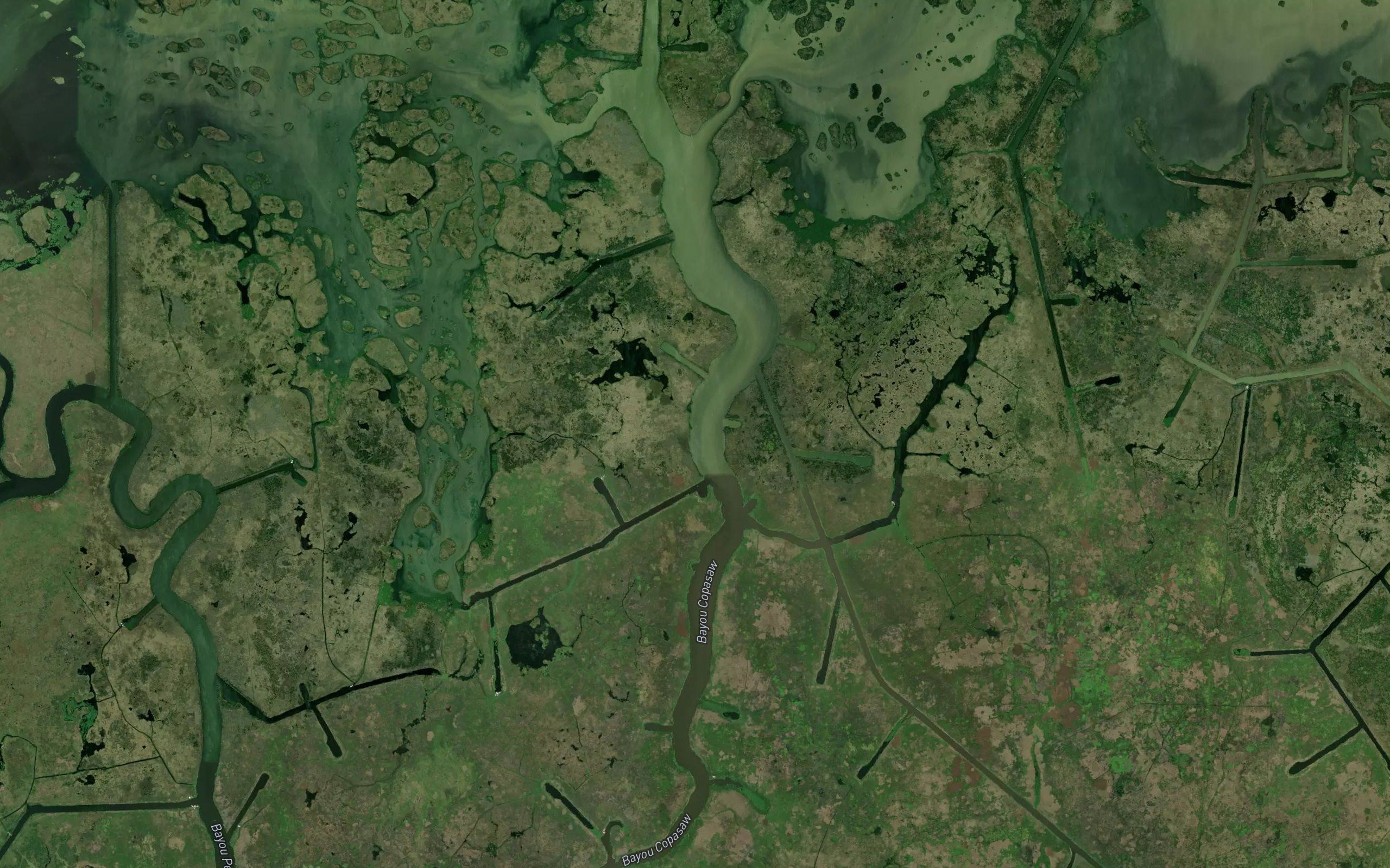 Bayou Copasaw