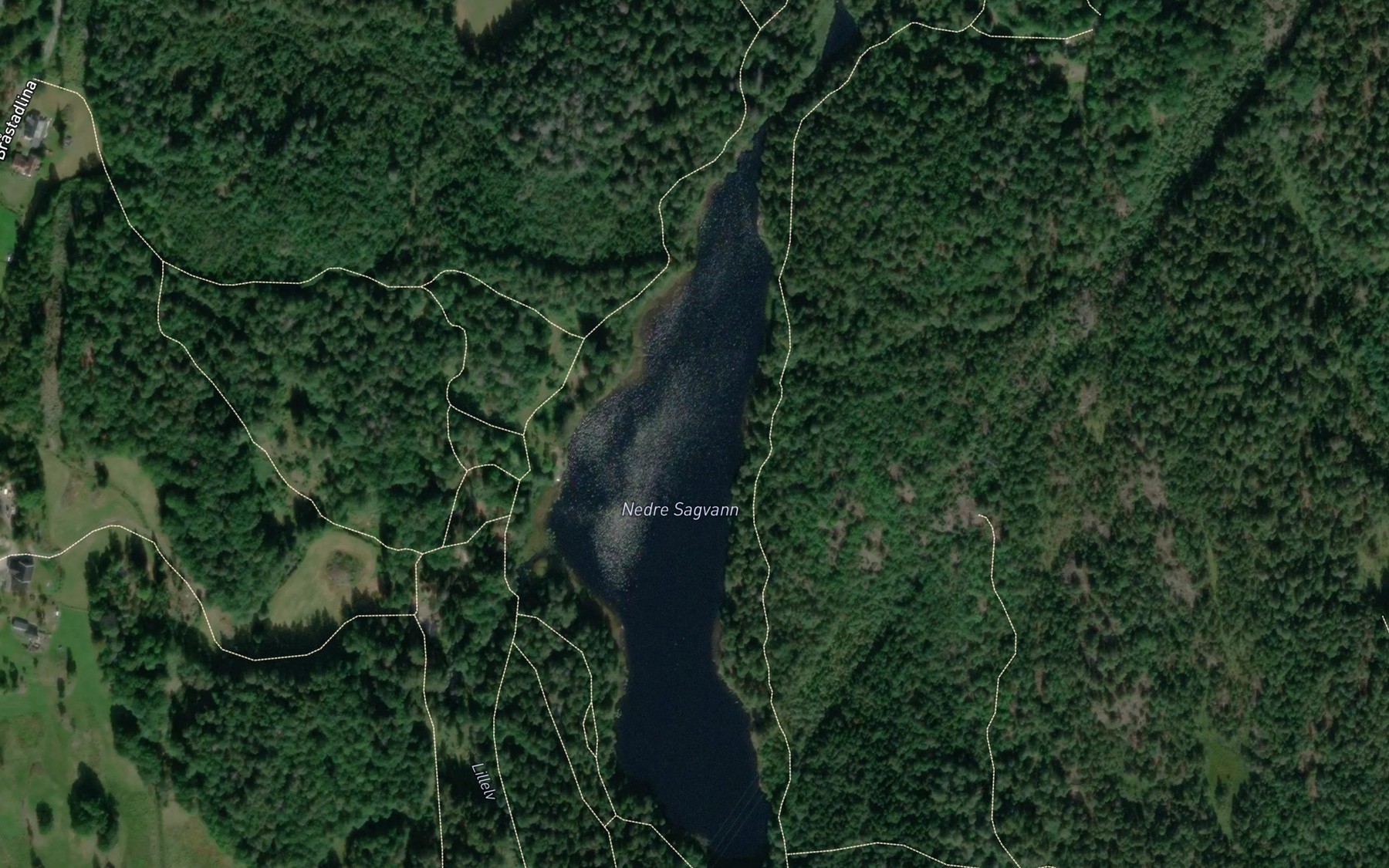 Satellite map of the Nedre Sagvann