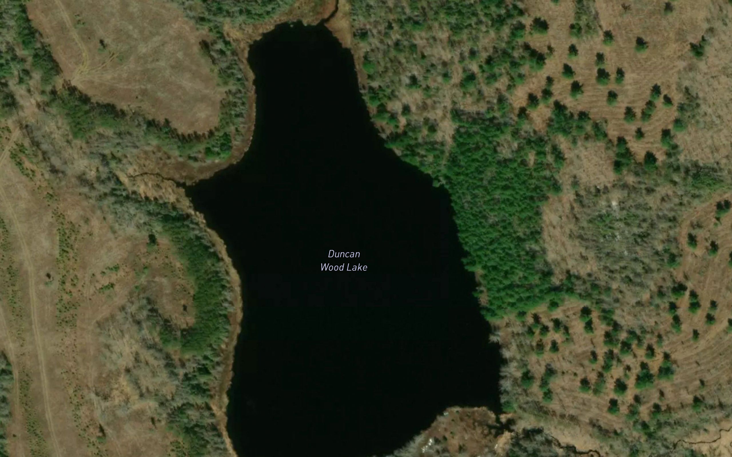 Duncan Wood Lake
