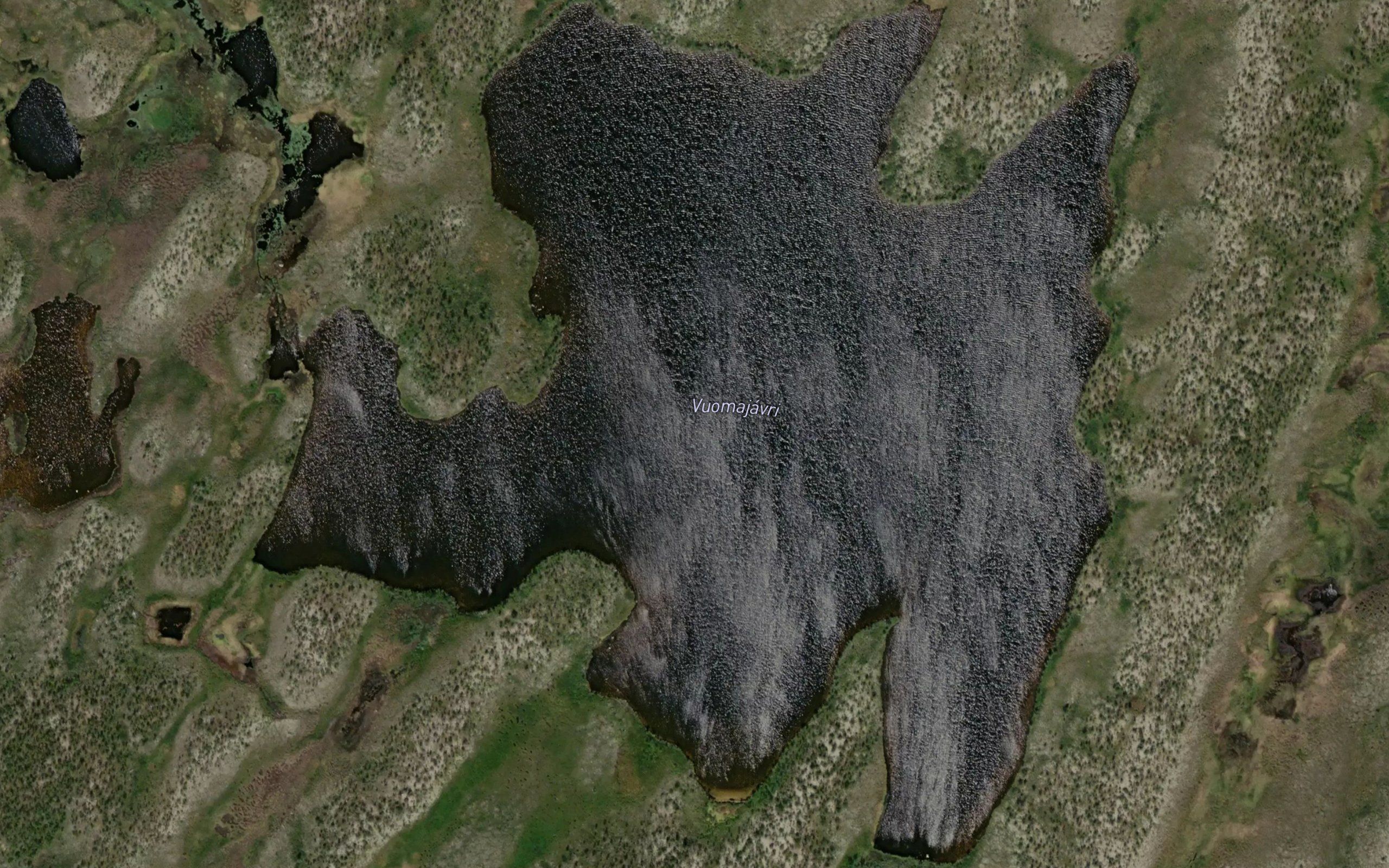 Vuomajavri