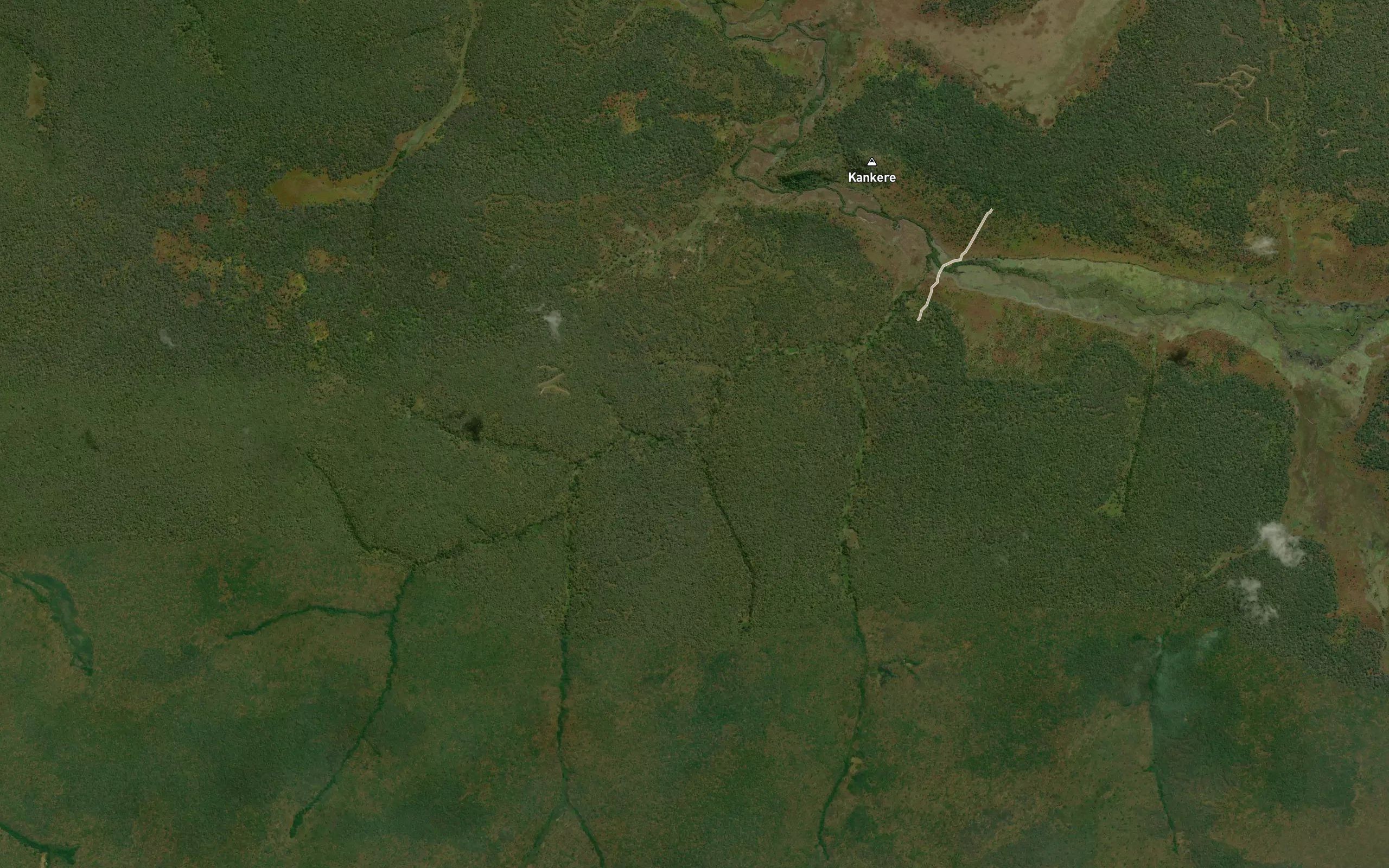 Kamanienze