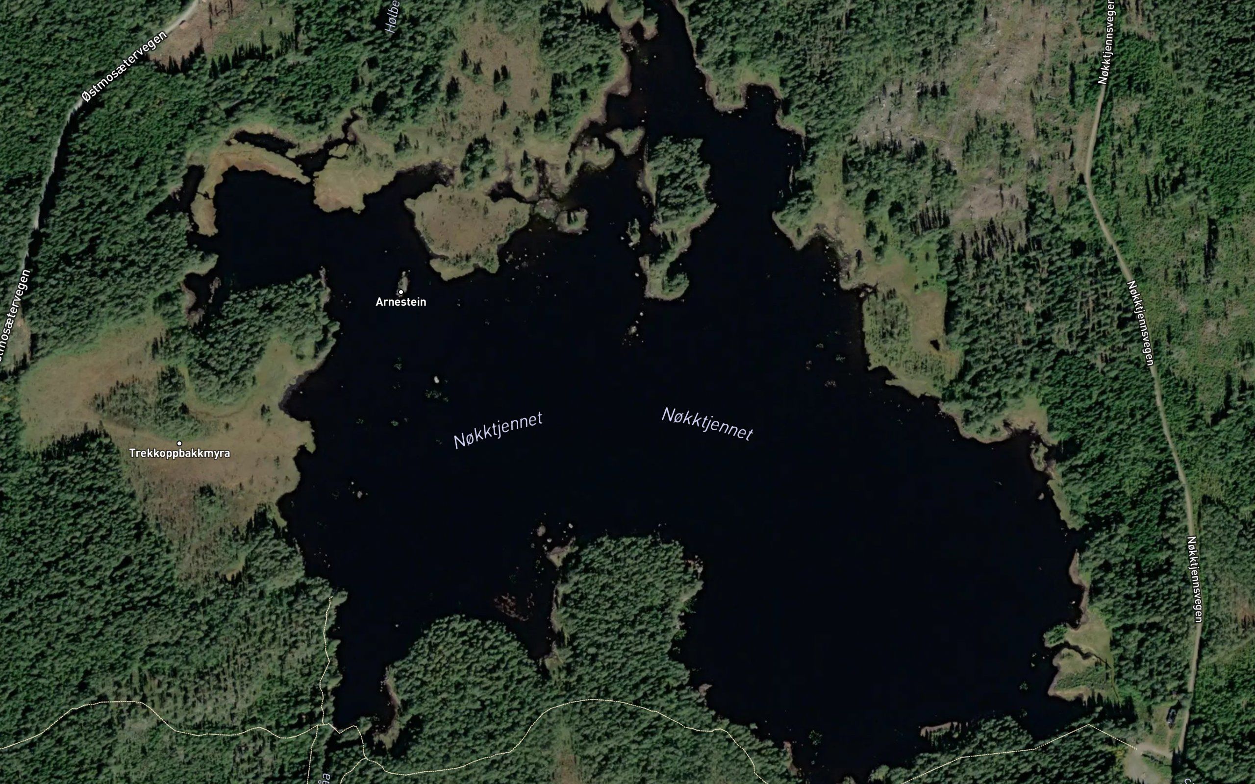 Nokktjernet