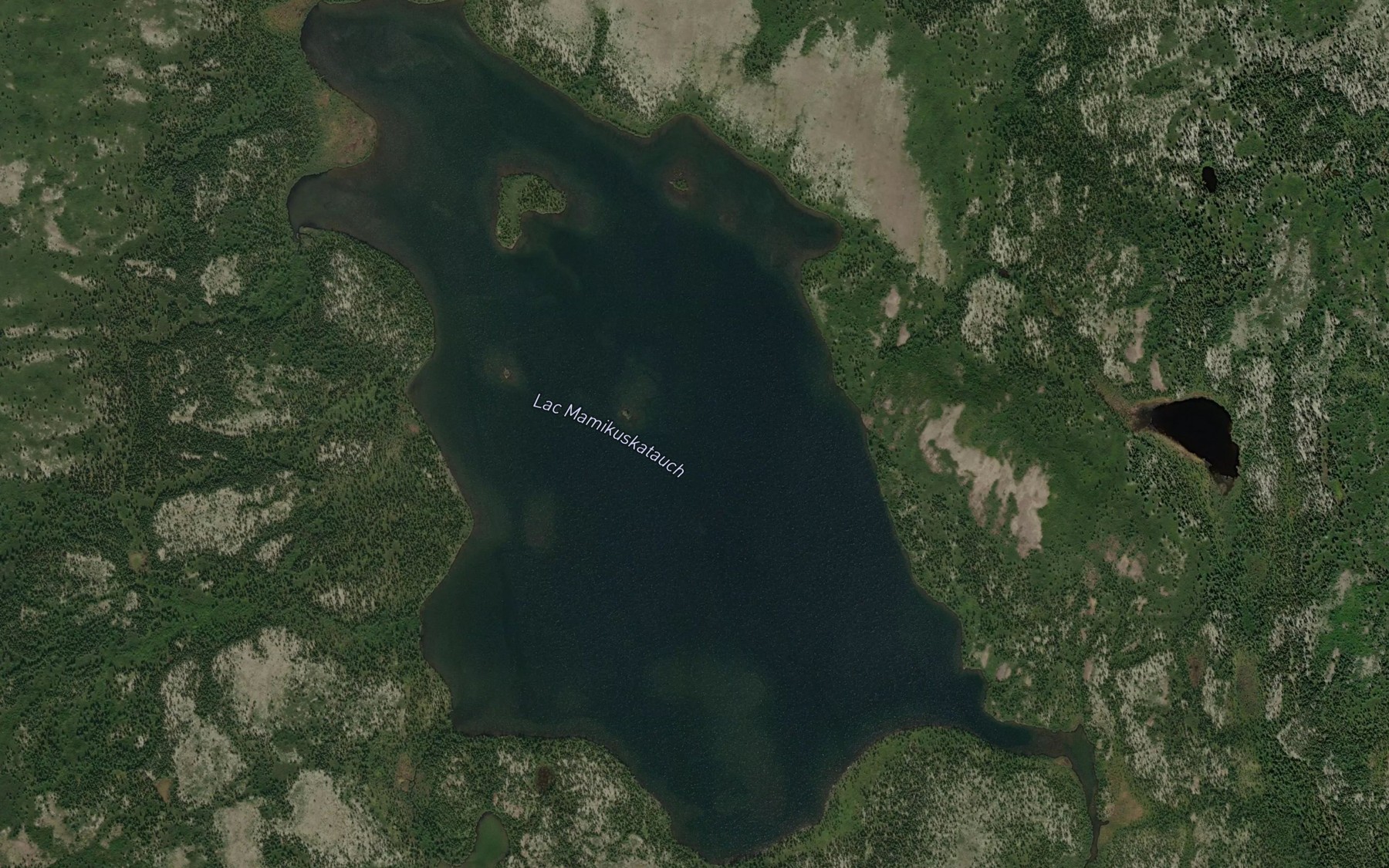 Satellite map of the Lac Mamikuskatauch