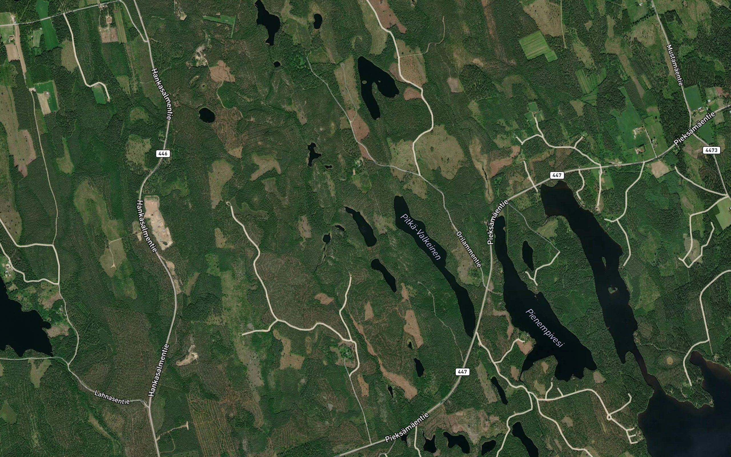 Haukinen
