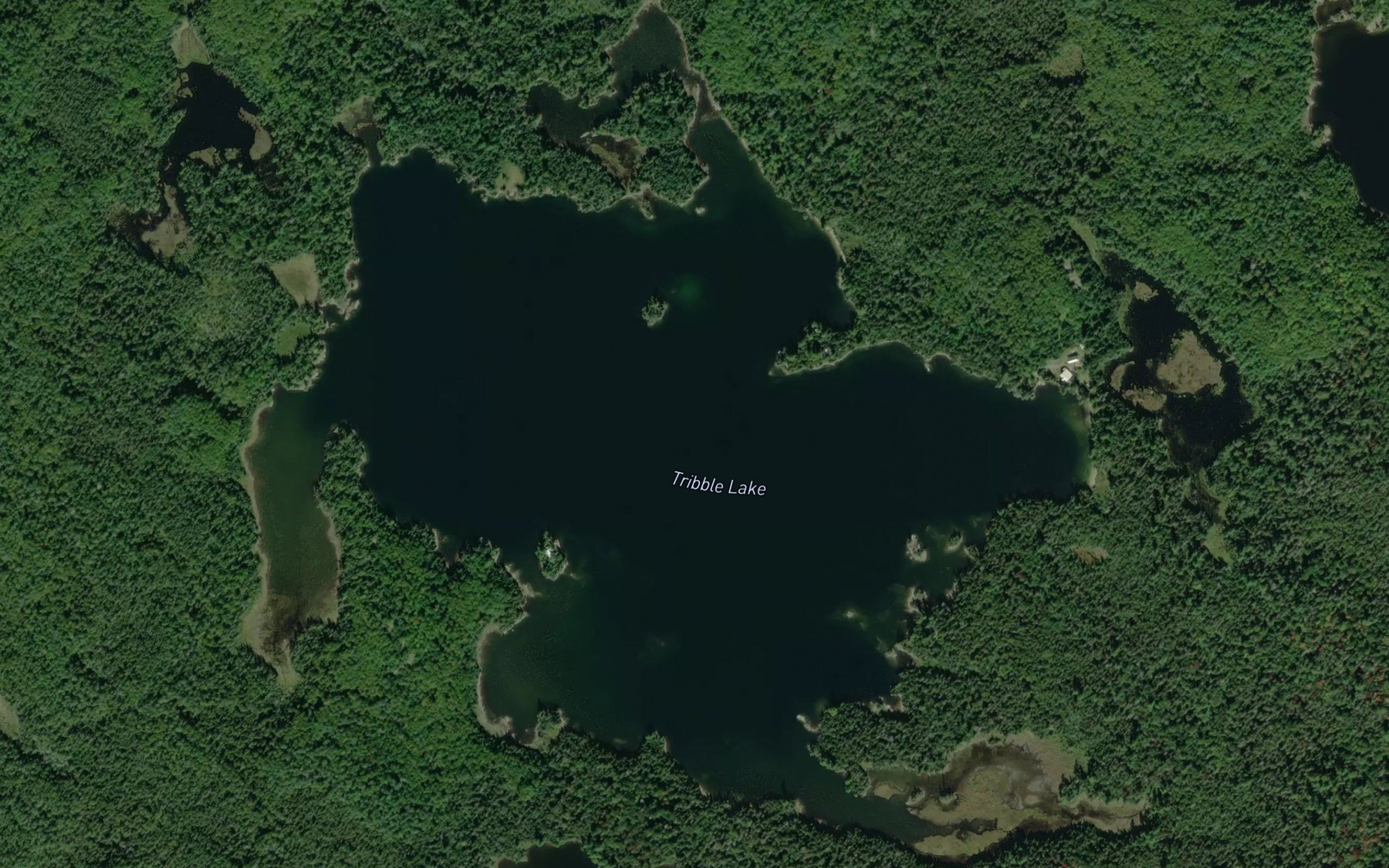 Satellite map of the Tribble Lake