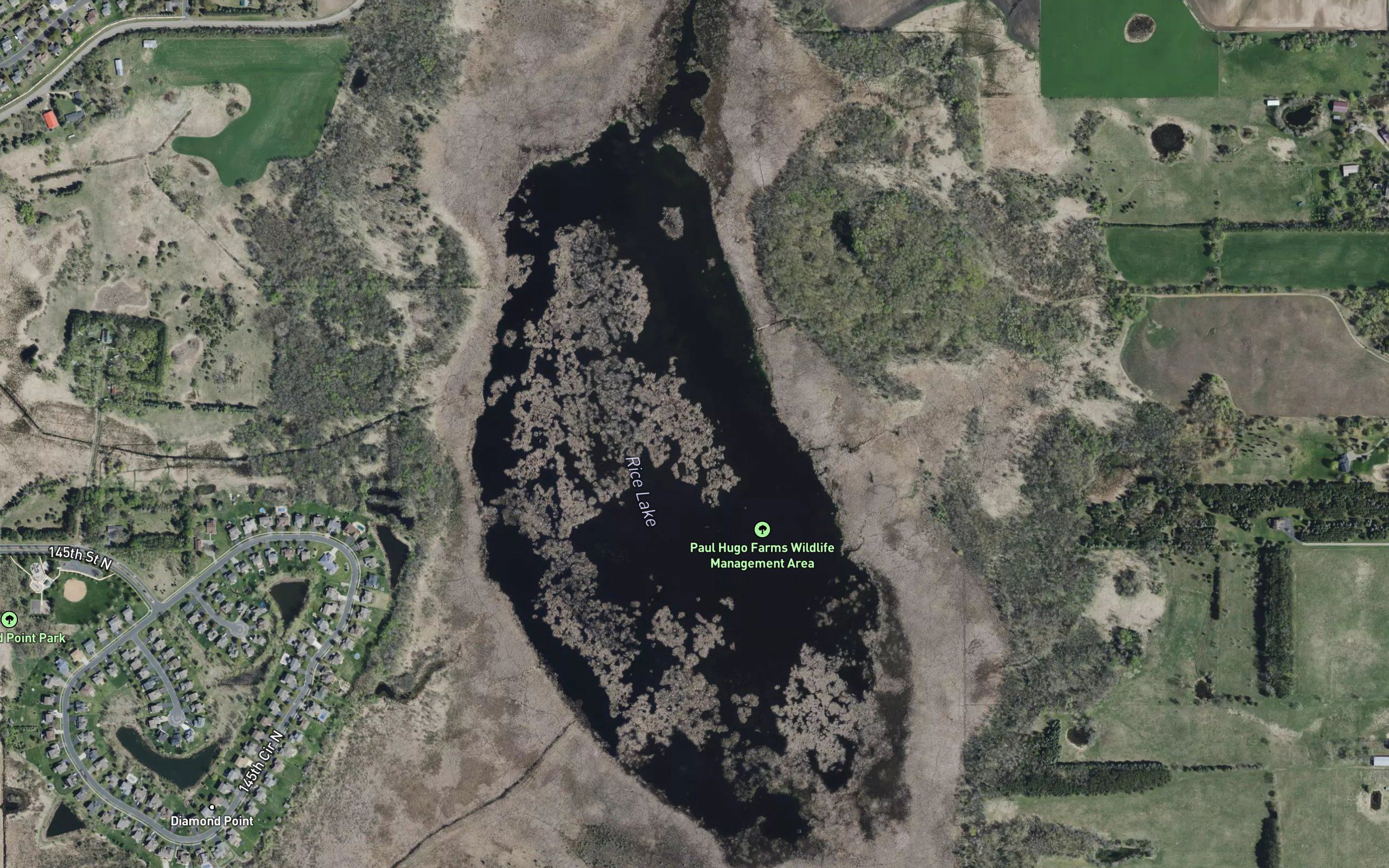 Rice Lake