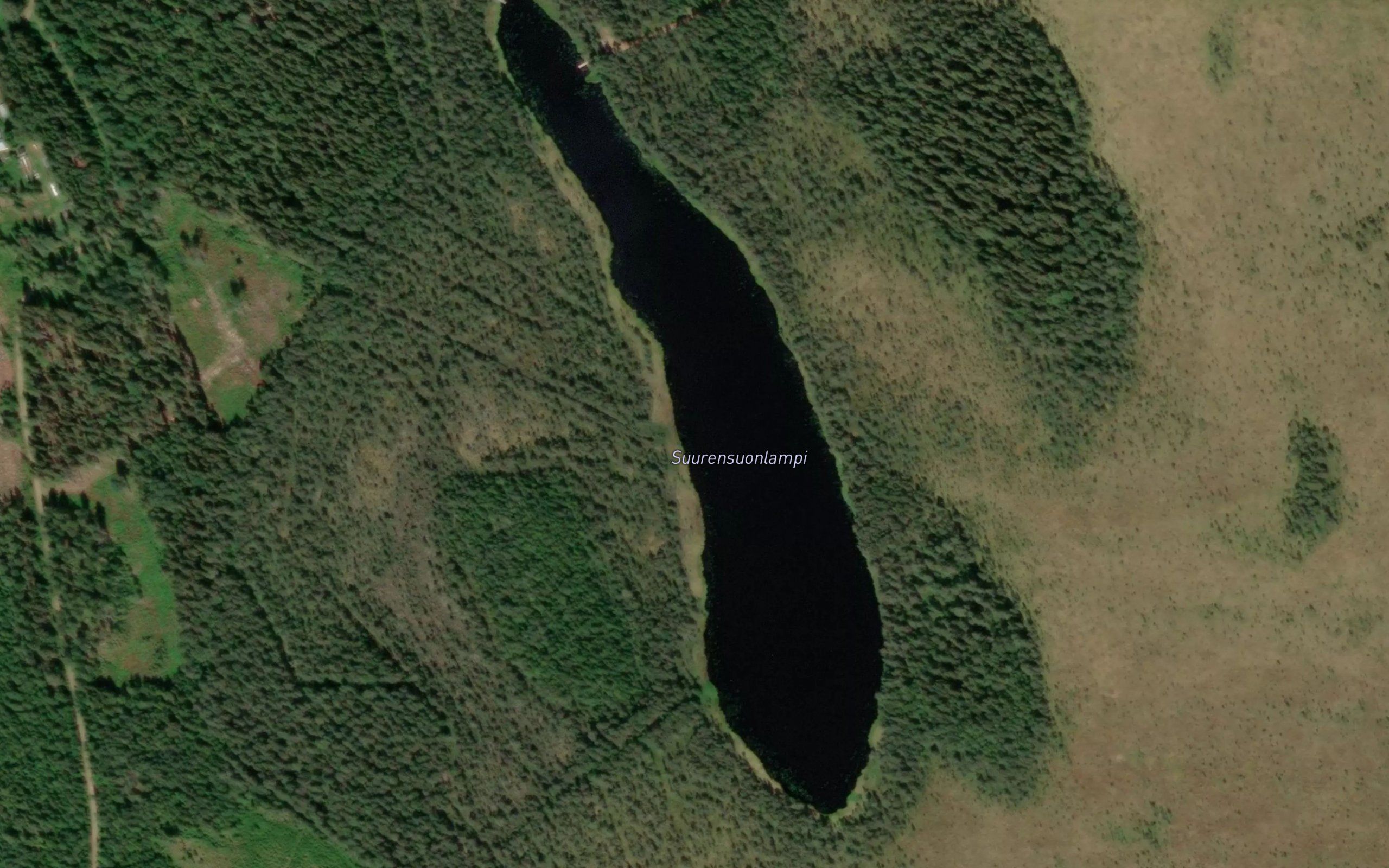 Suurensuonlampi