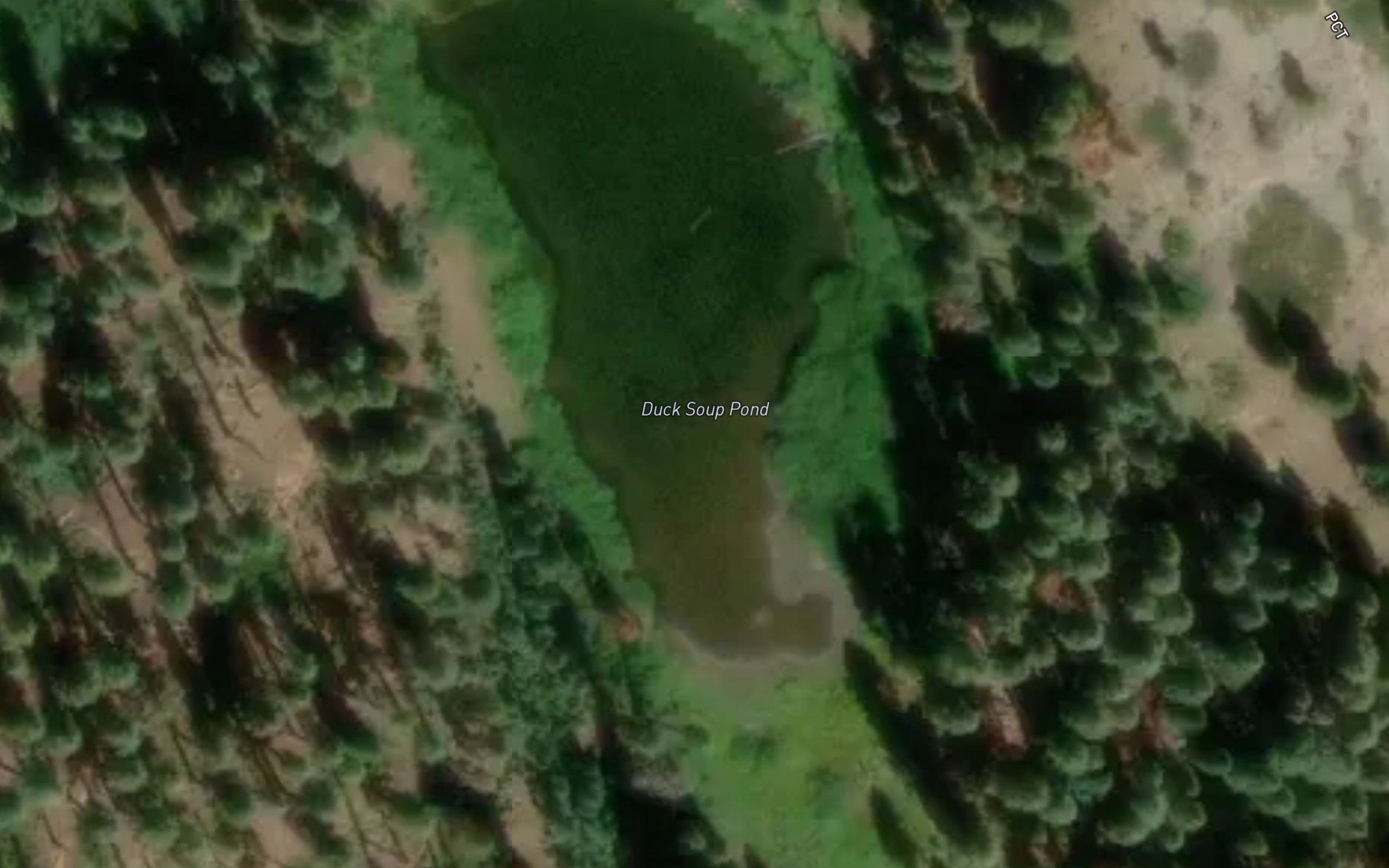 Duck Soup Pond