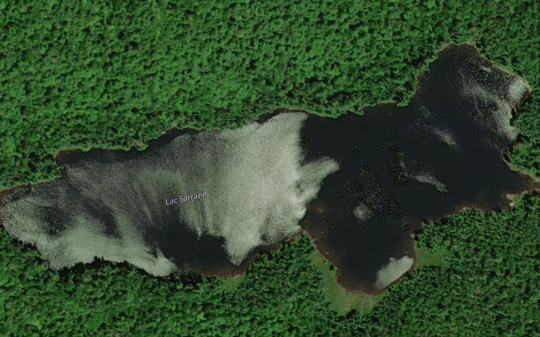 Satellite map of the Lac Sarrazin