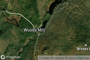 Chandler Meadow Pond