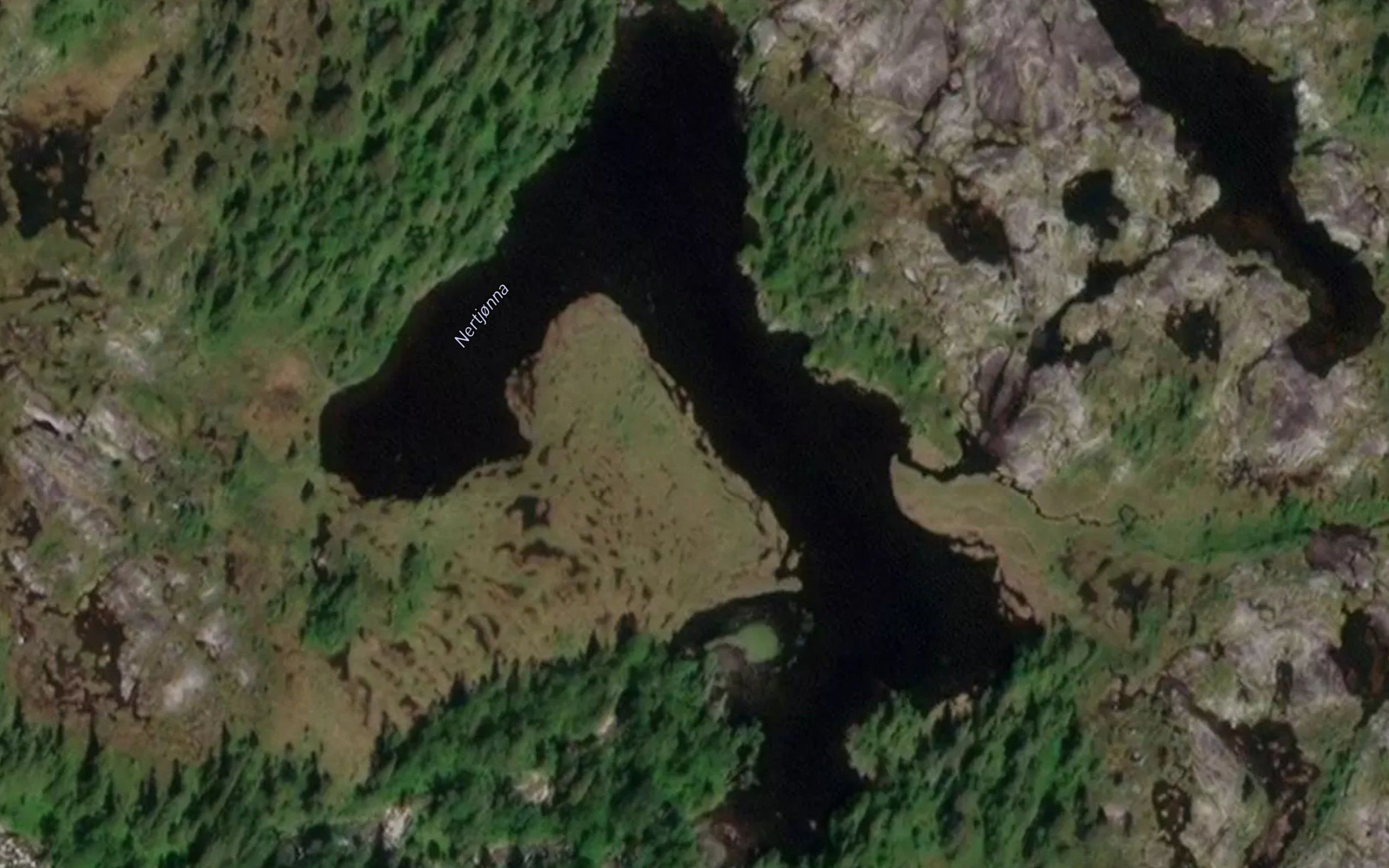 Nertjonna