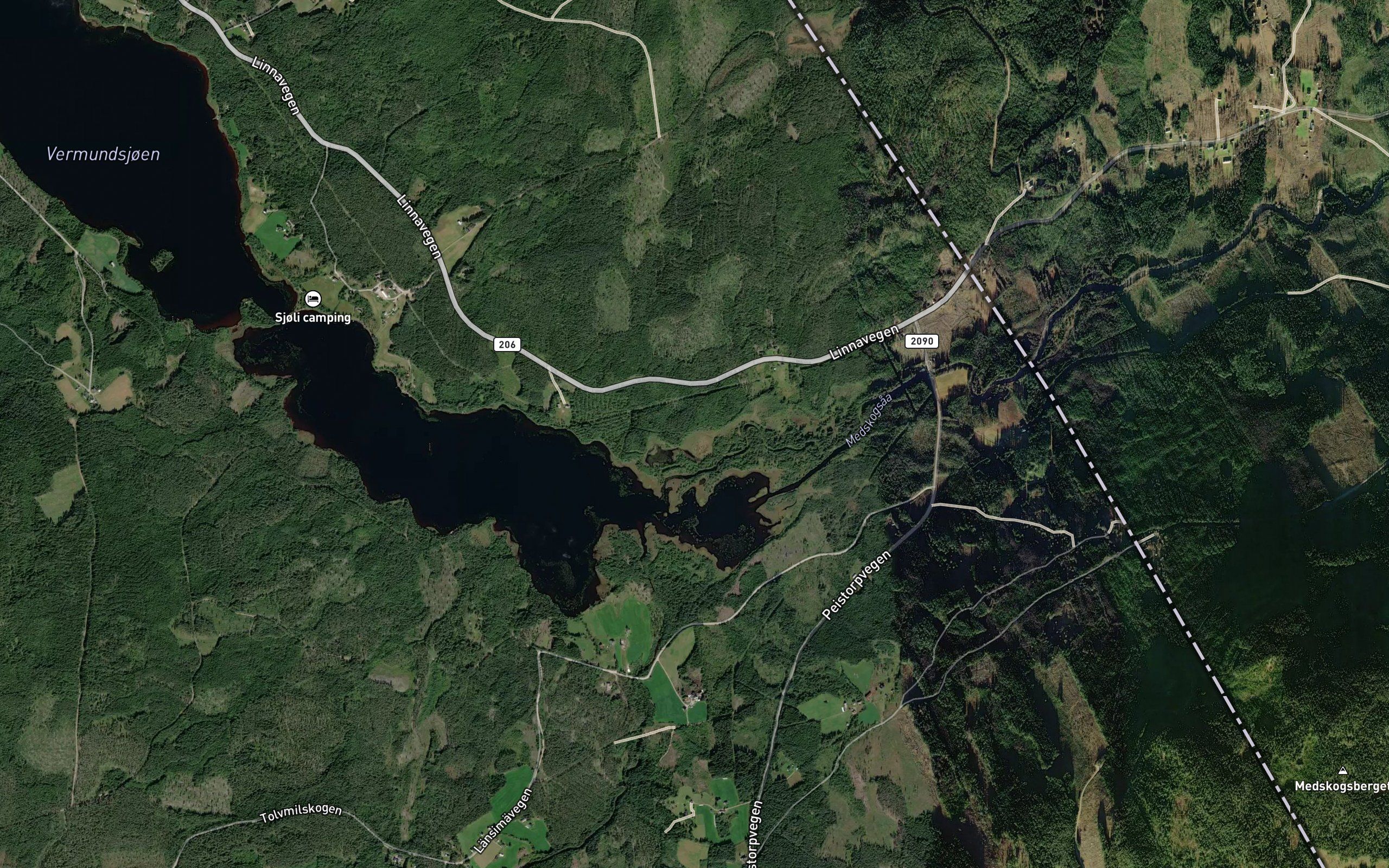Medskogsan