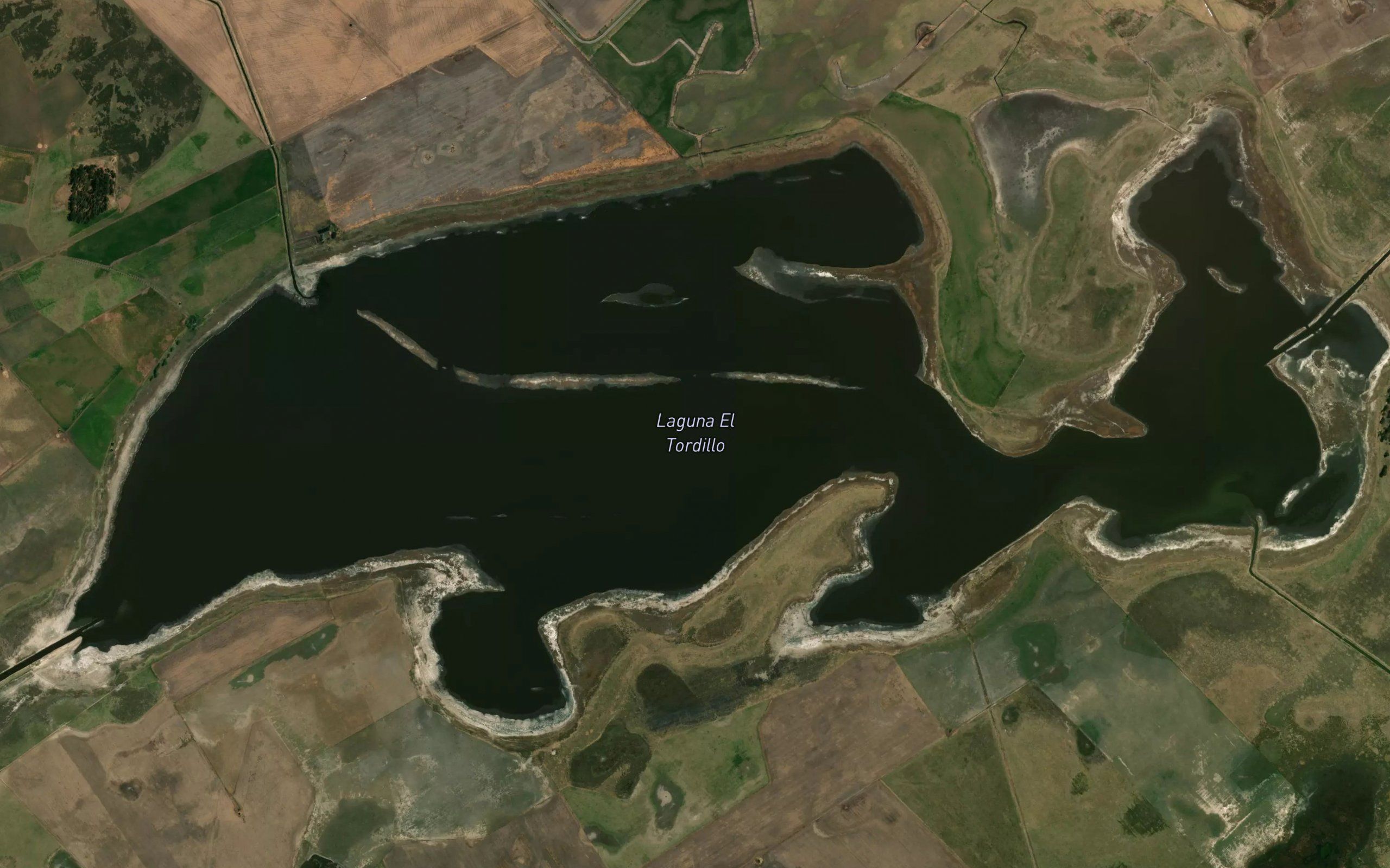 Laguna del Tordillo