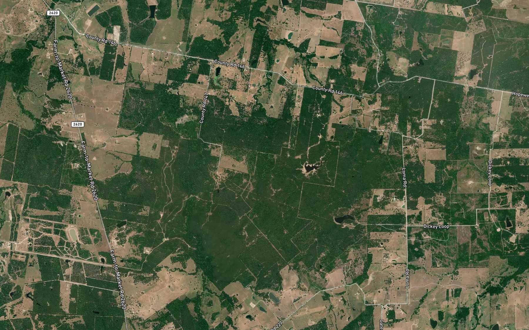 Satellite map of the Kelso Branch