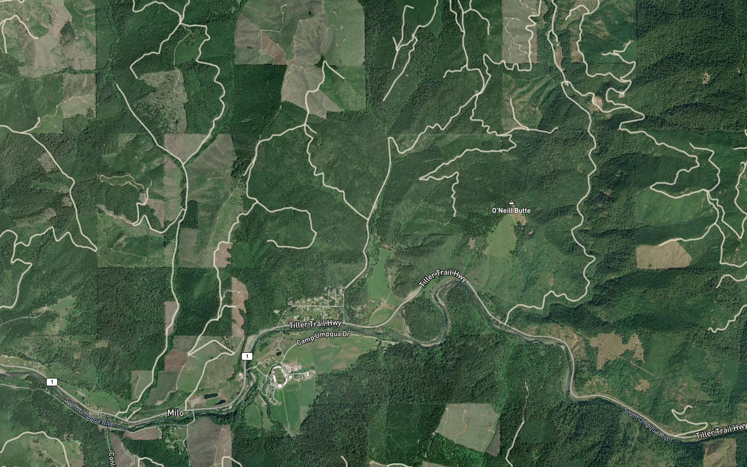 Canyon Creek