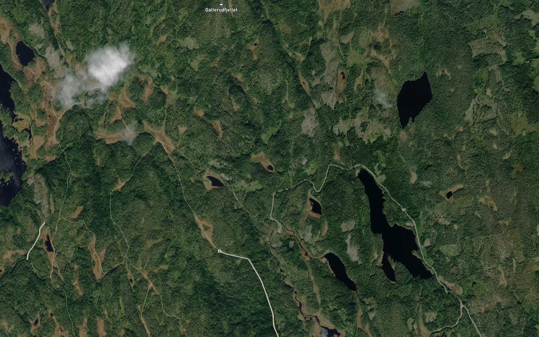 Satellite map of the Halsentjernet