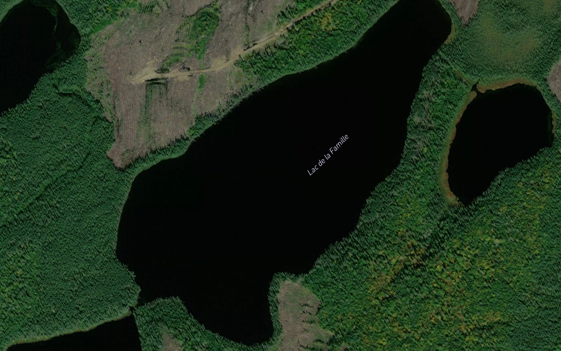 Satellite map of the Lac de la Famille