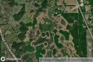 Chunky Pond