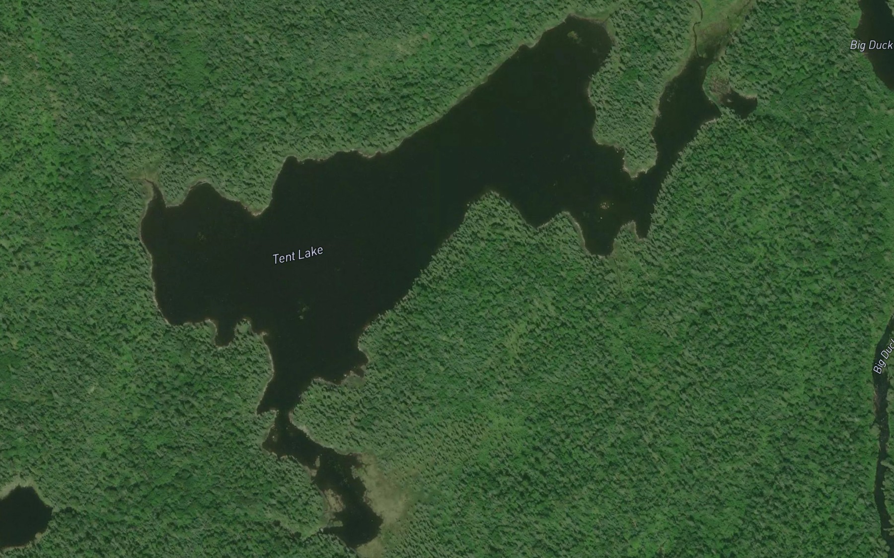 Satellite map of the Tent Lake