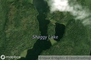 Shaggy Lake