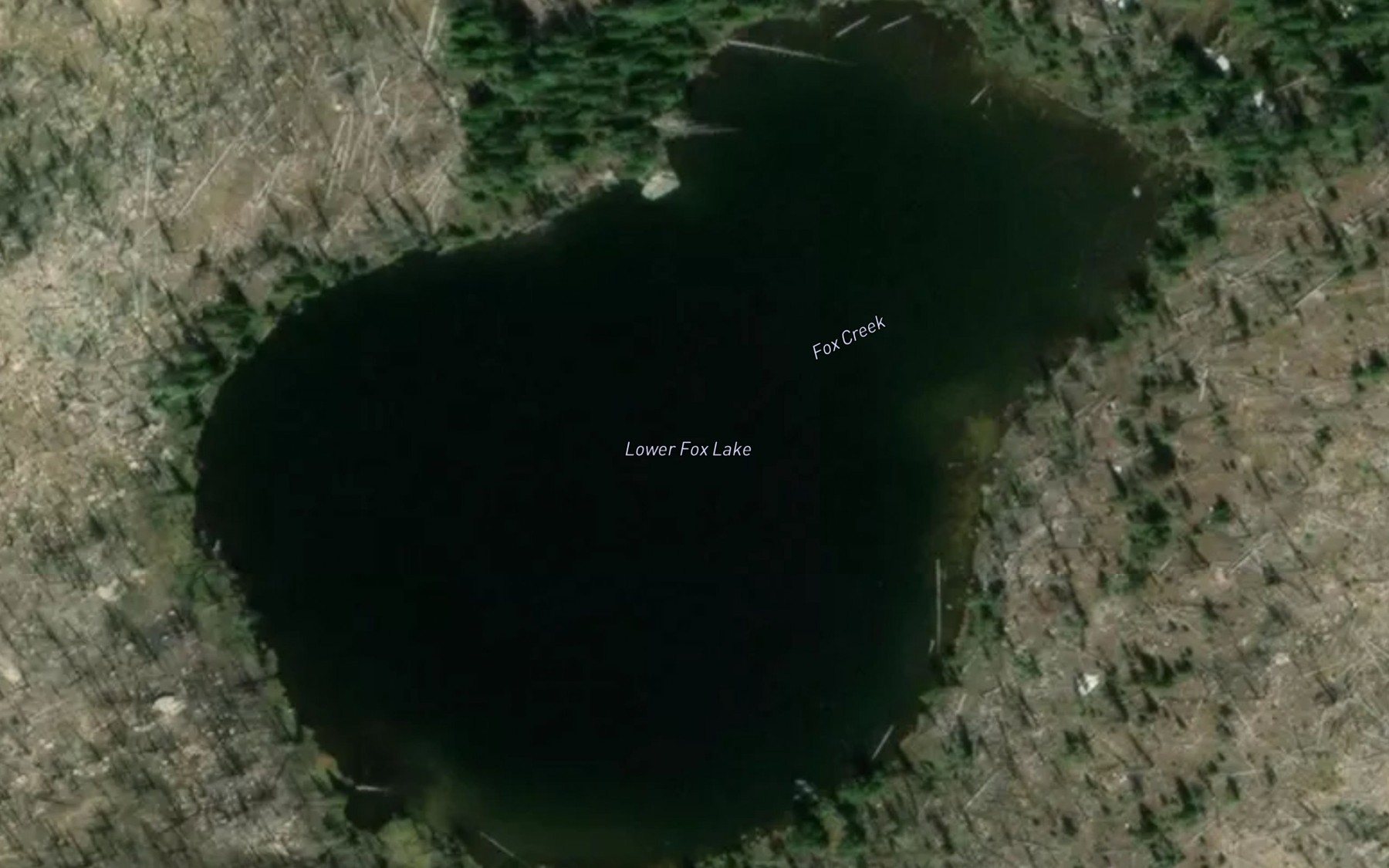 Satellite map of the Lower Fox Lake