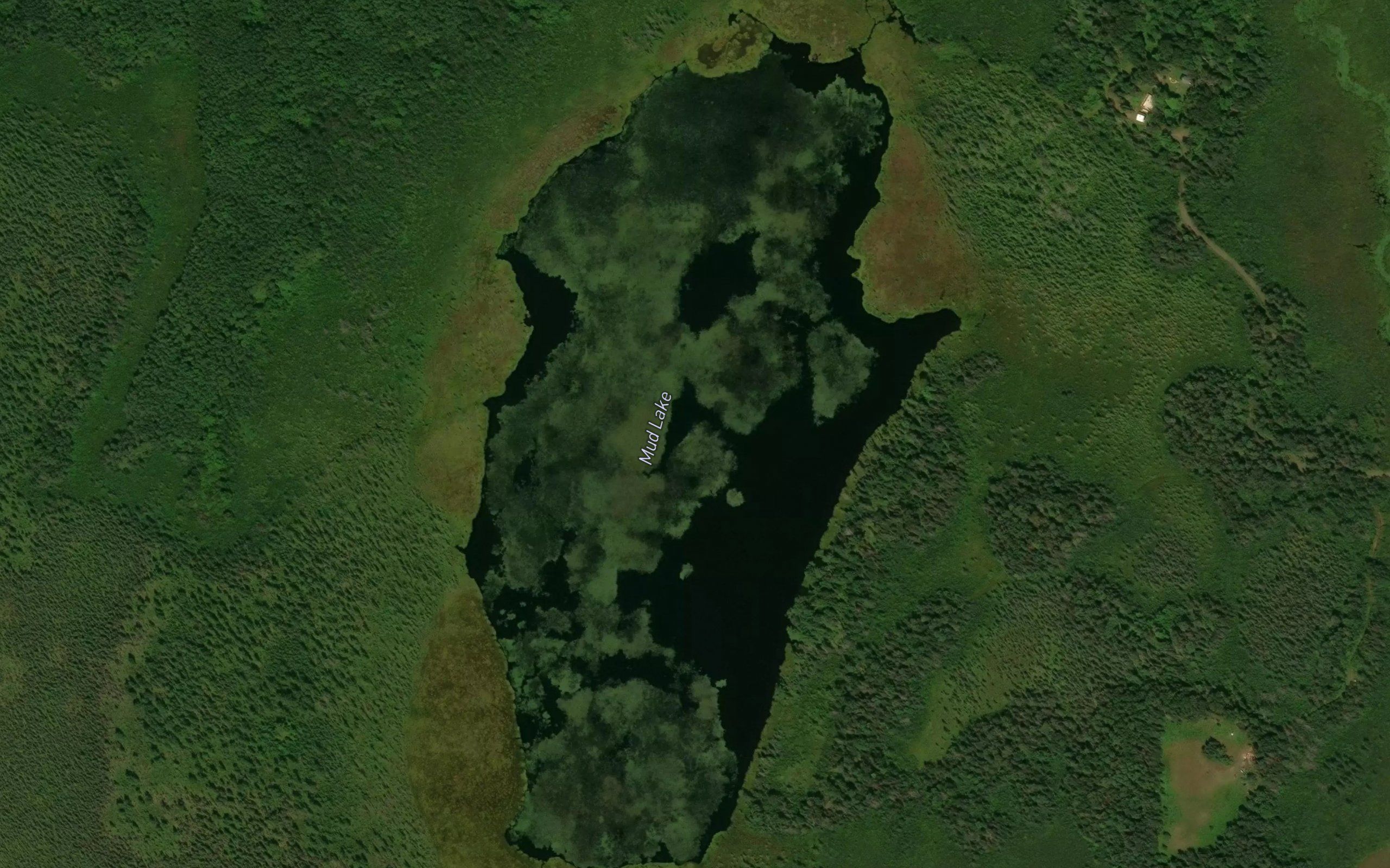 Mud Lake