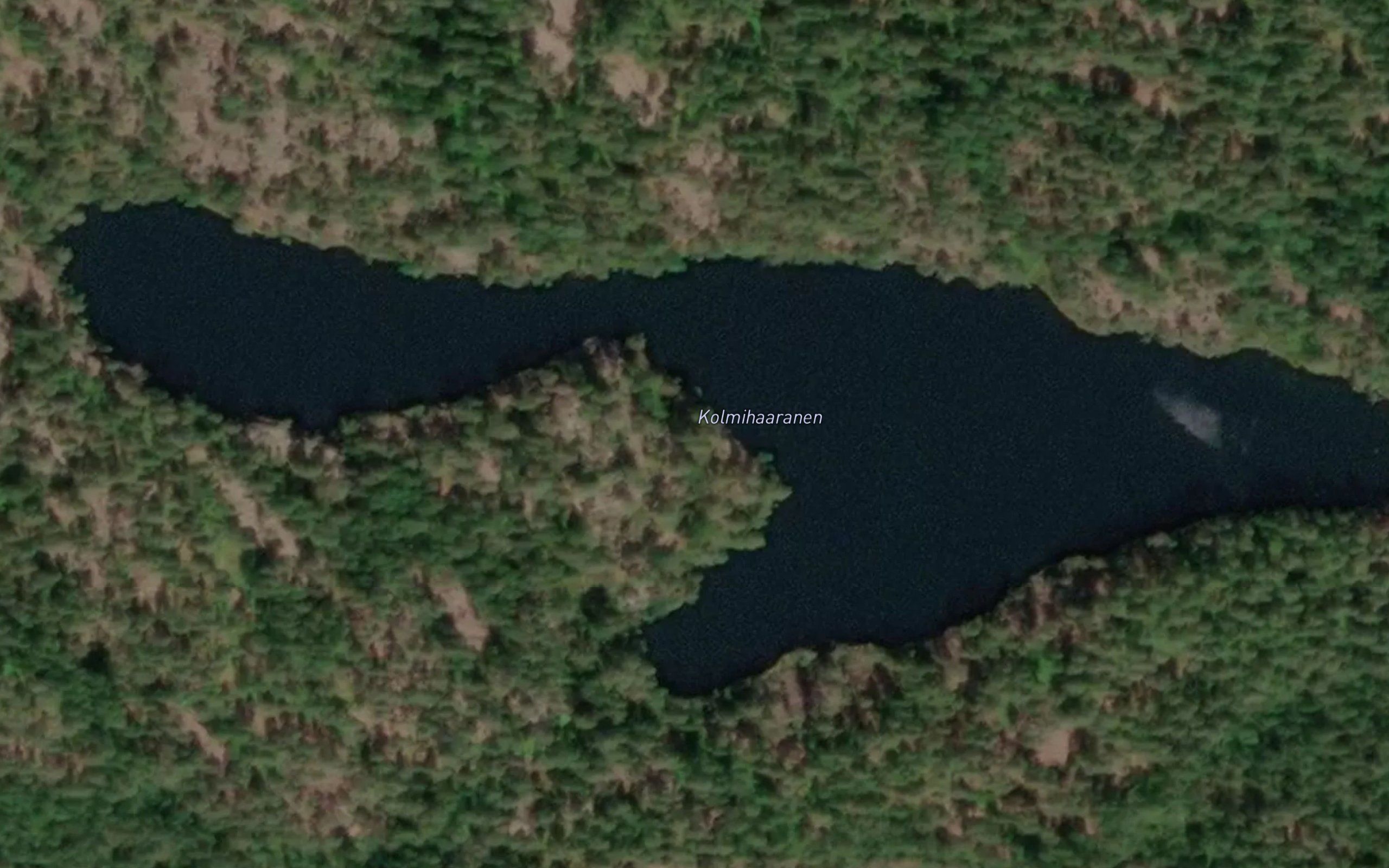 Kolmihaarainen