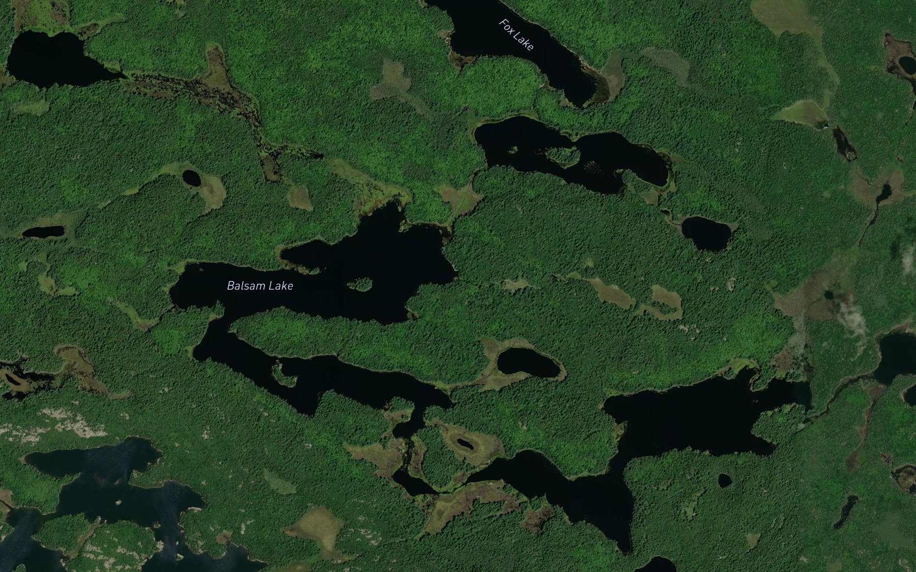 Satellite map of the Balsam Lake