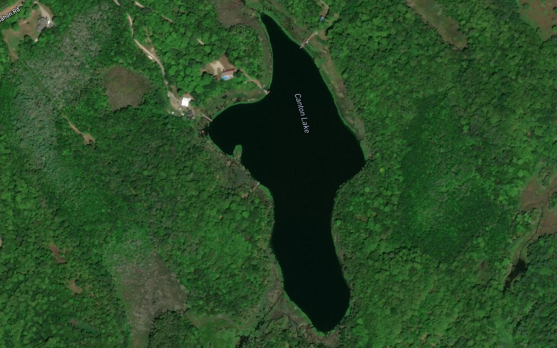 Satellite map of the Canton Lake