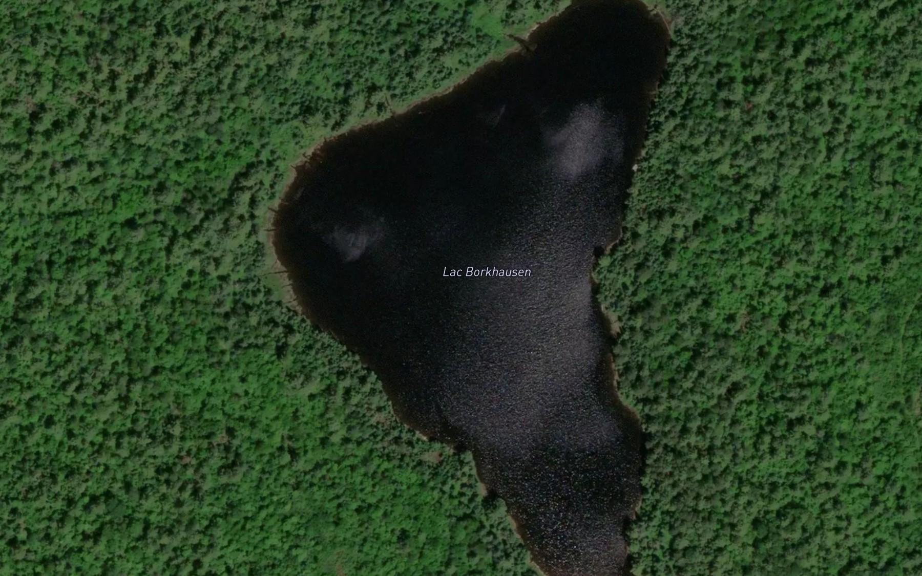 Satellite map of the Lac Borkhausen
