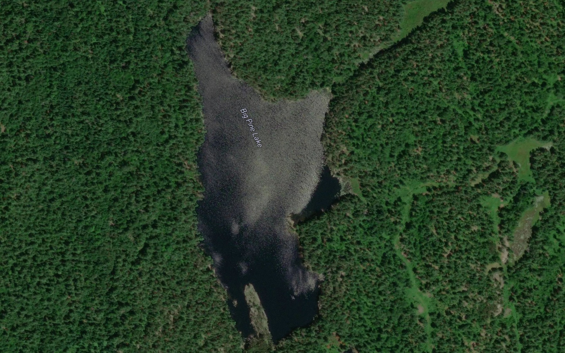 Satellite map of the Big Pine Lake